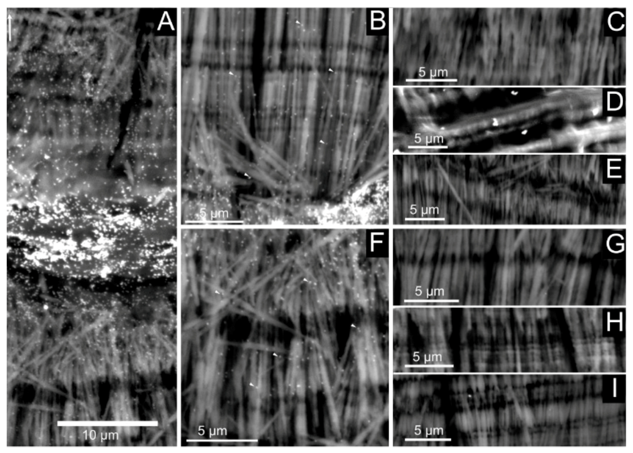 Crystals 10 00839 g010