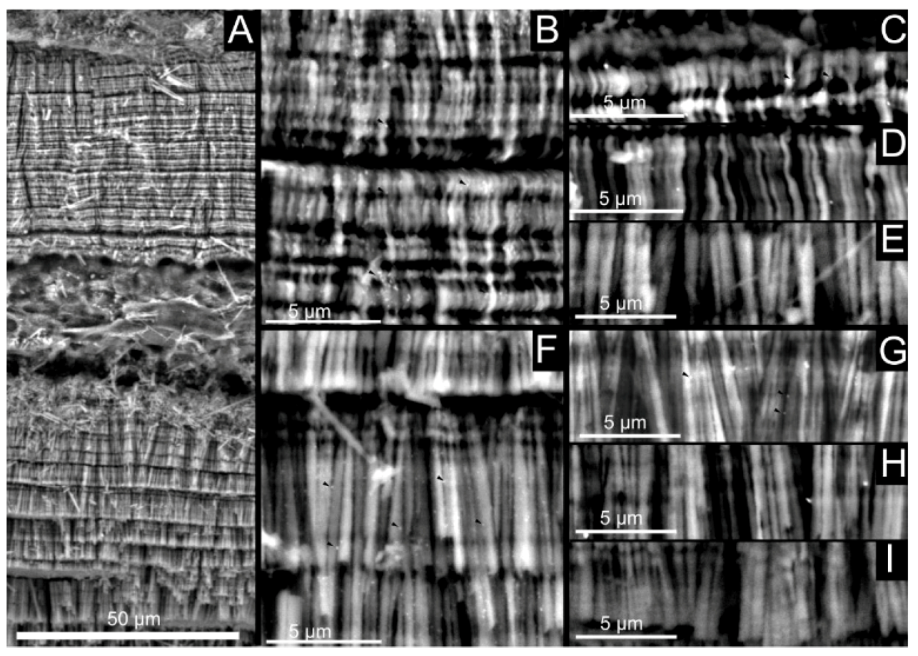 Crystals 10 00839 g011