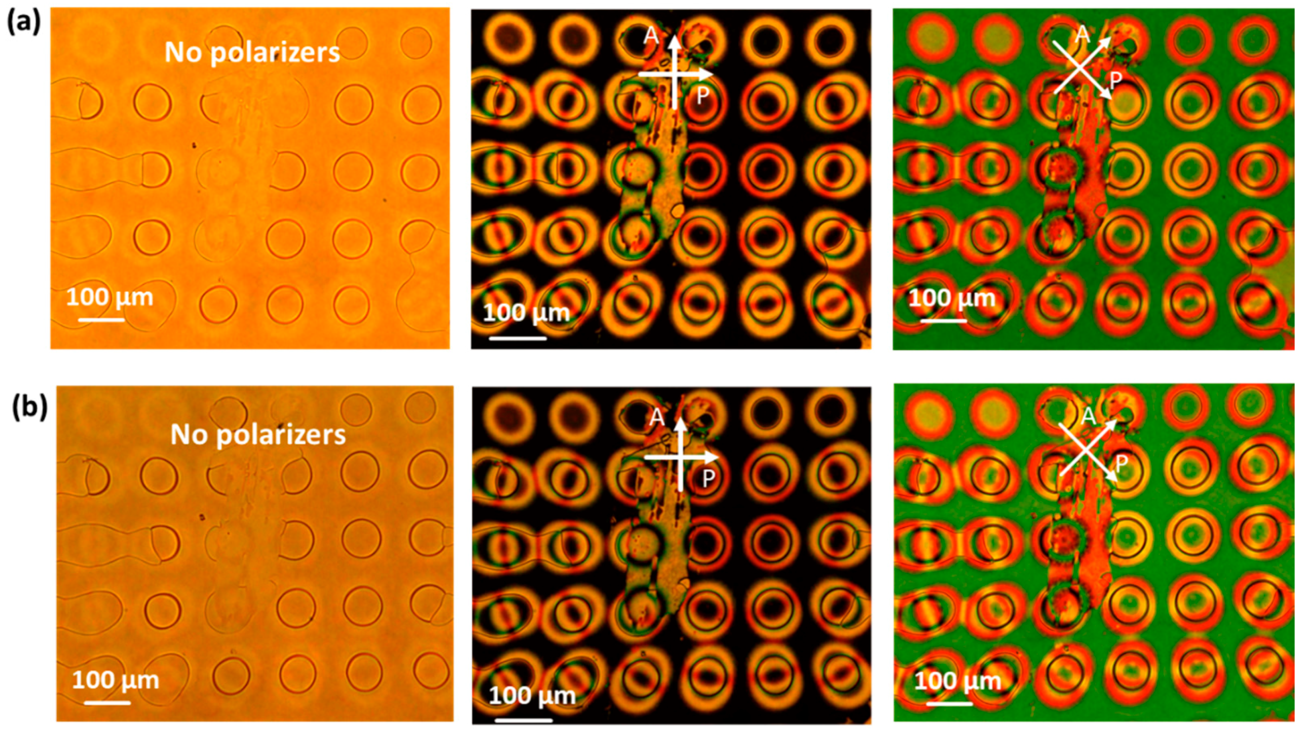 Crystals 10 00840 g0a1