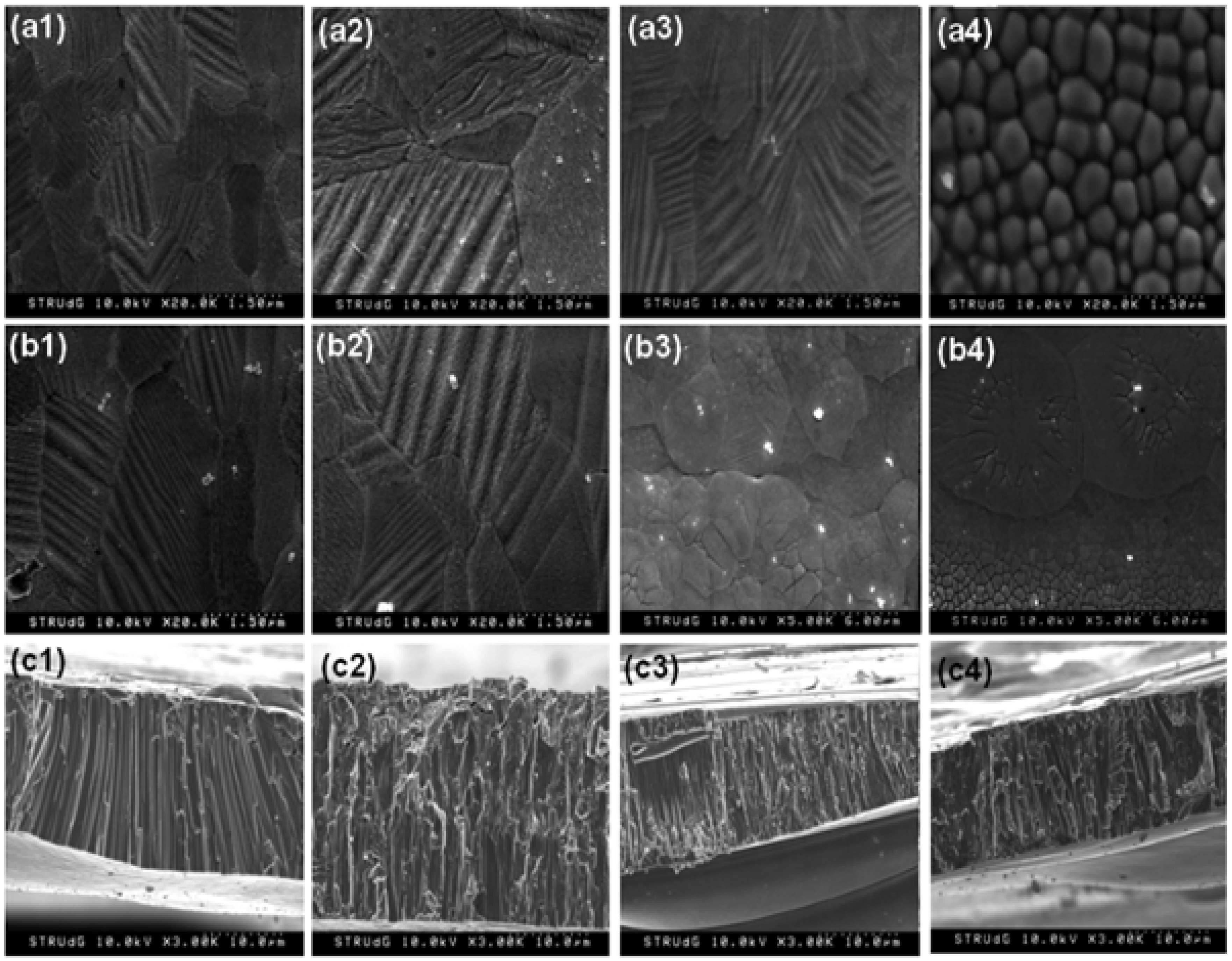 Crystals 10 00853 g003 Crystals 10 00853 g003