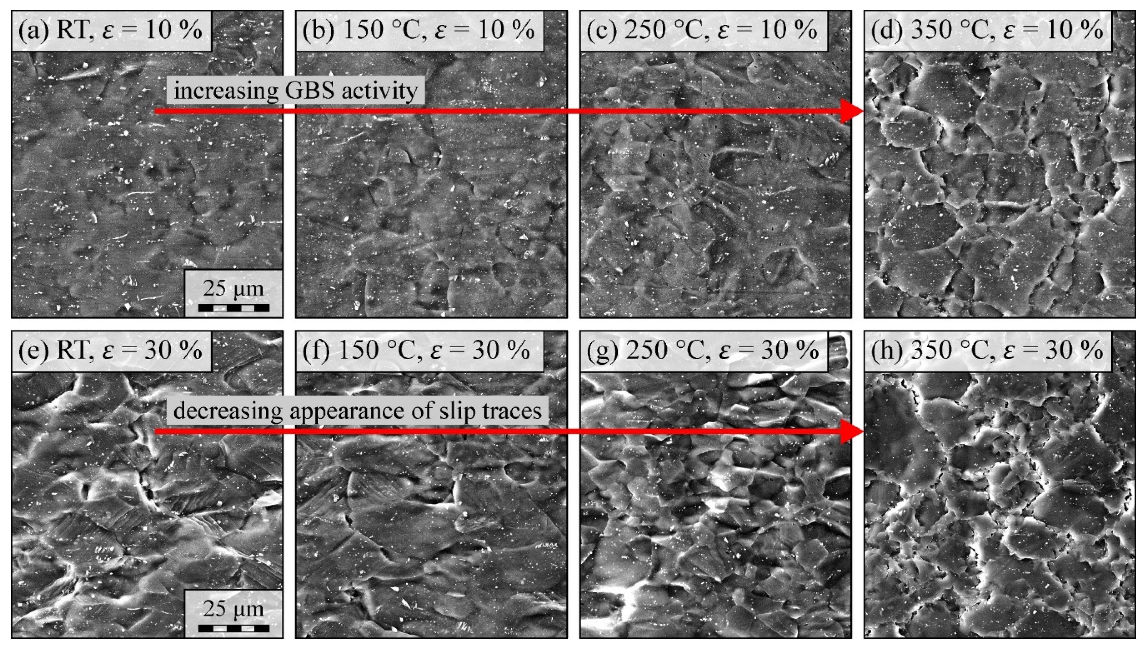 Crystals Free Full Text Gtn Model Based Material Parameters Of Az31 Magnesium Sheet At Various Temperatures By Means Of Sem In Situ Testing Html