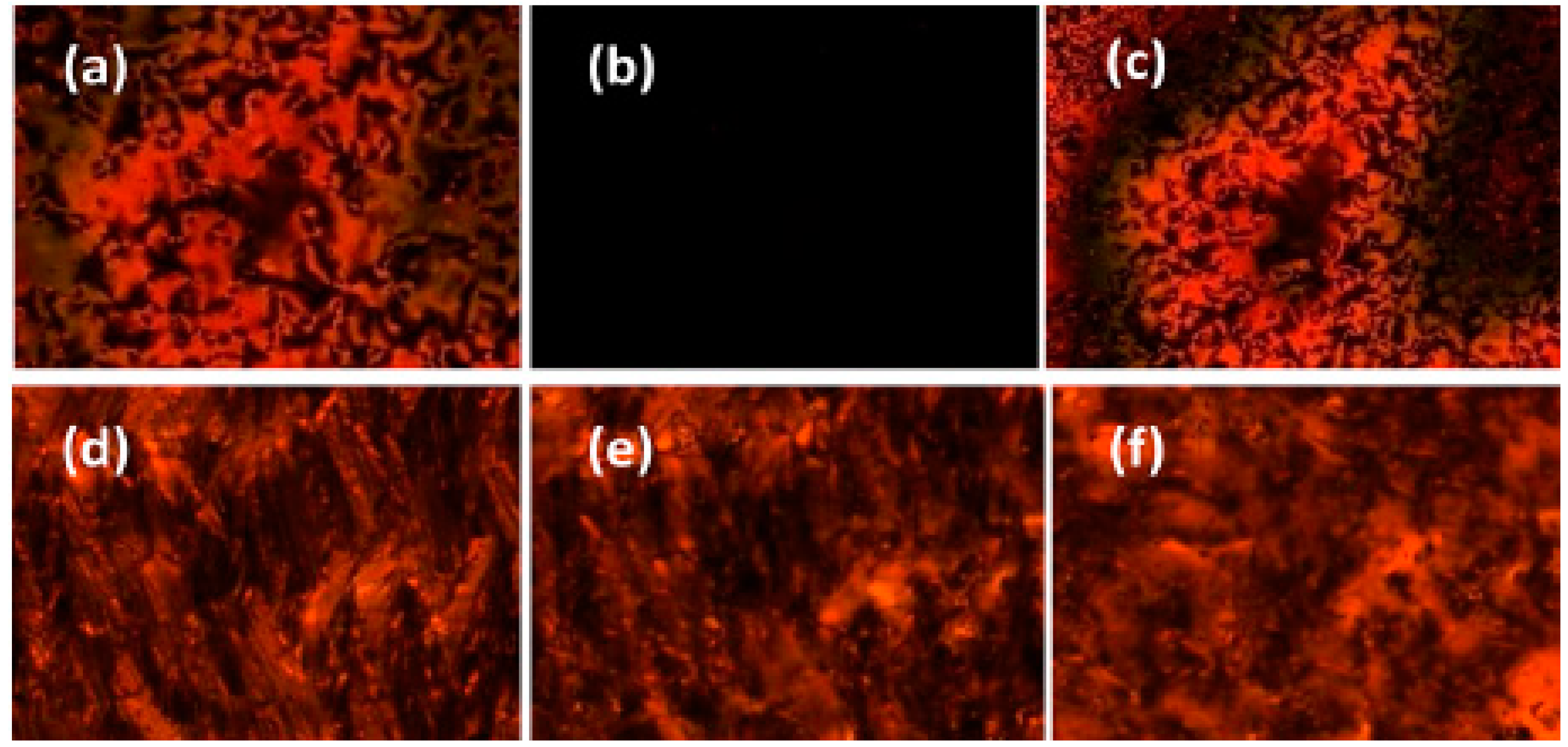 Crystals 10 00857 g022 Crystals 10 00857 g022