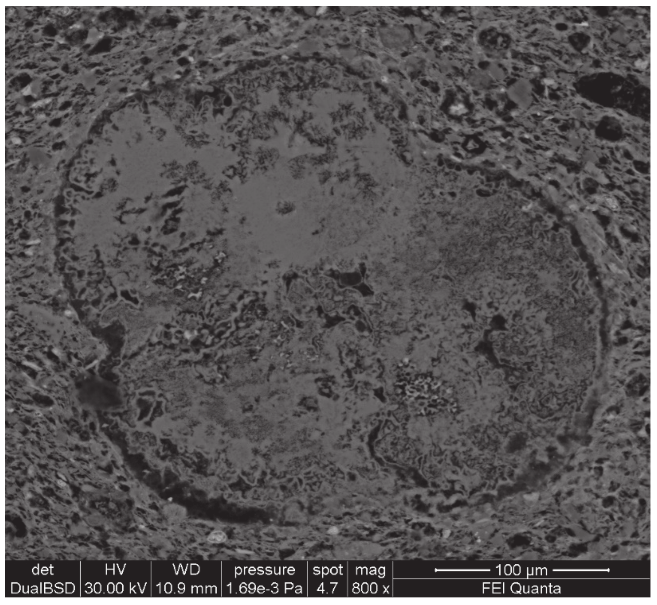 Crystals 10 00879 g004