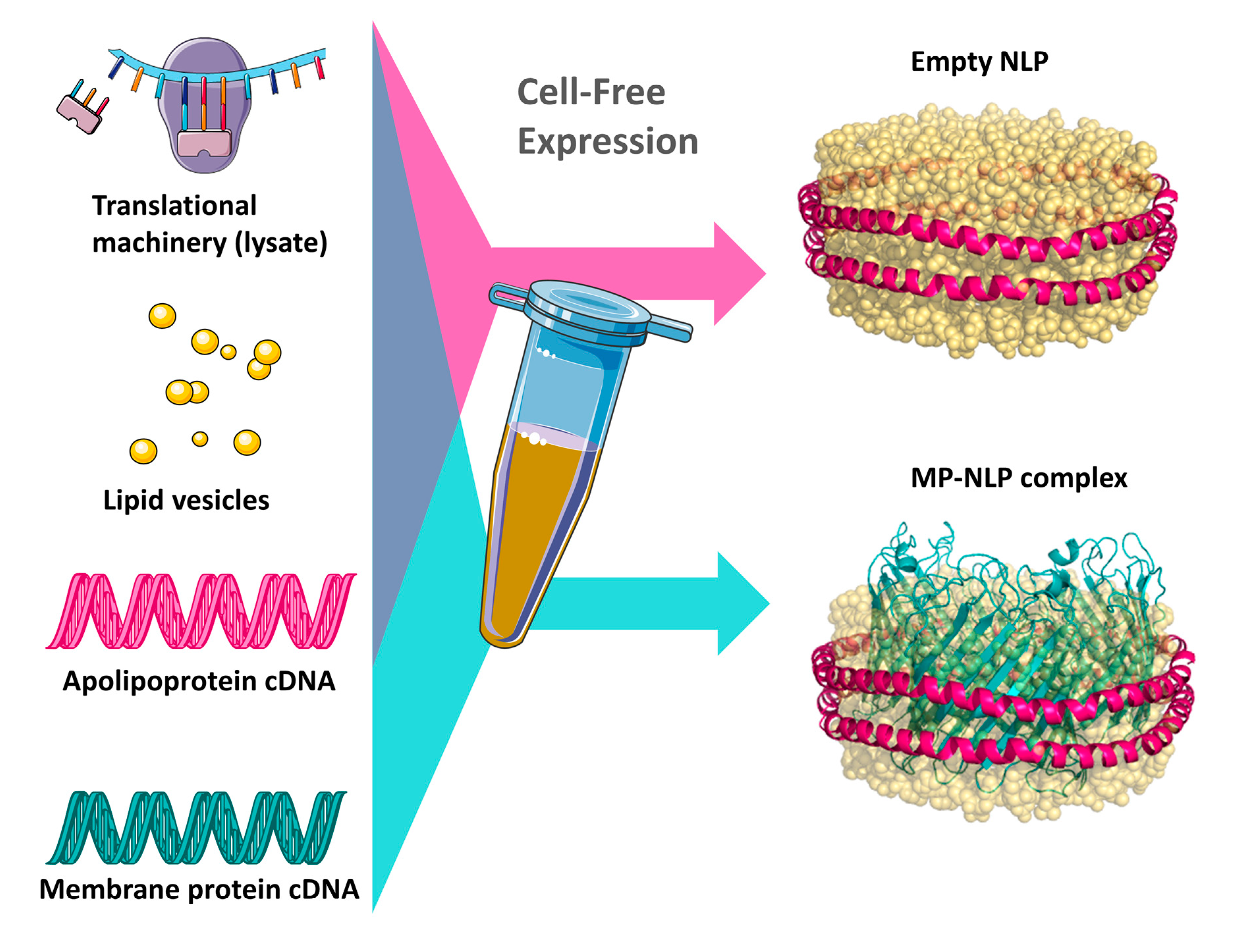 Crystals 10 00886 g002