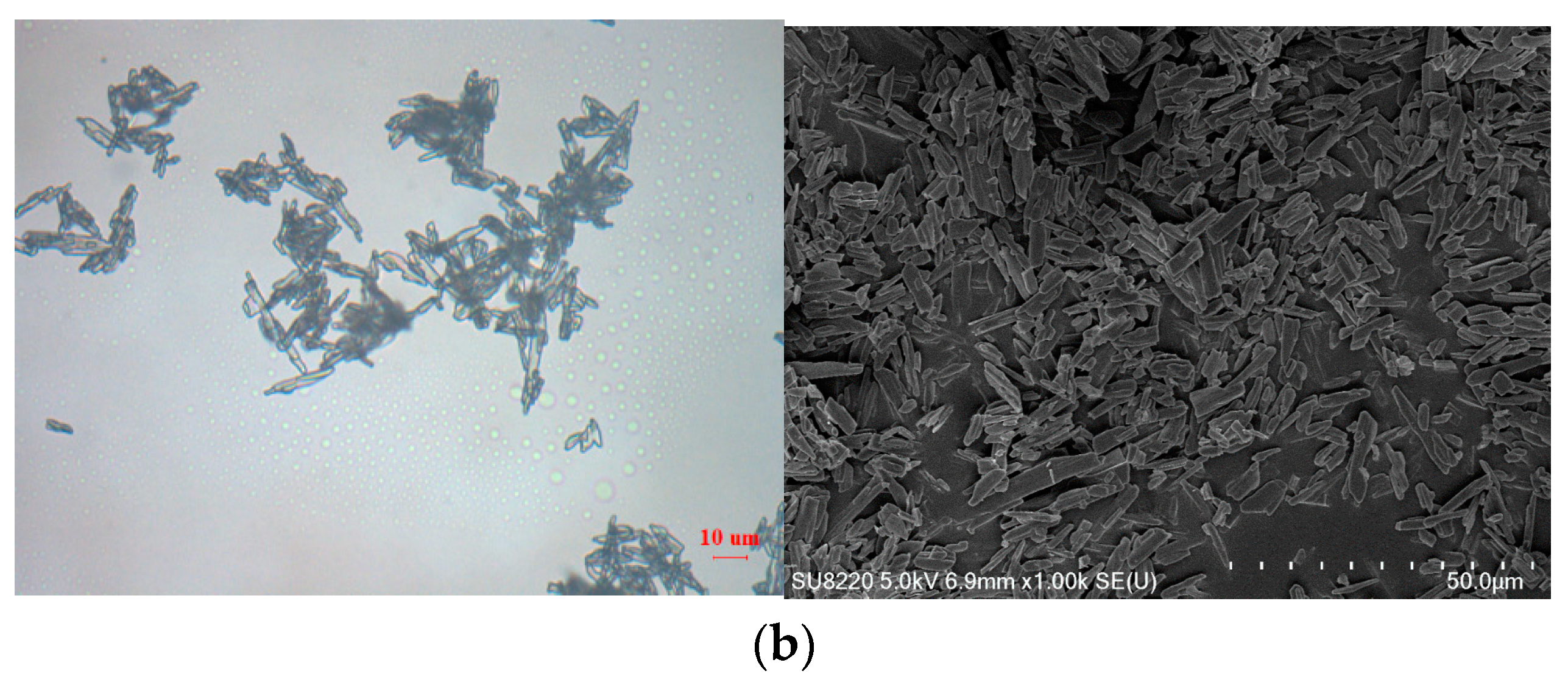 Crystals 10 00922 g004b