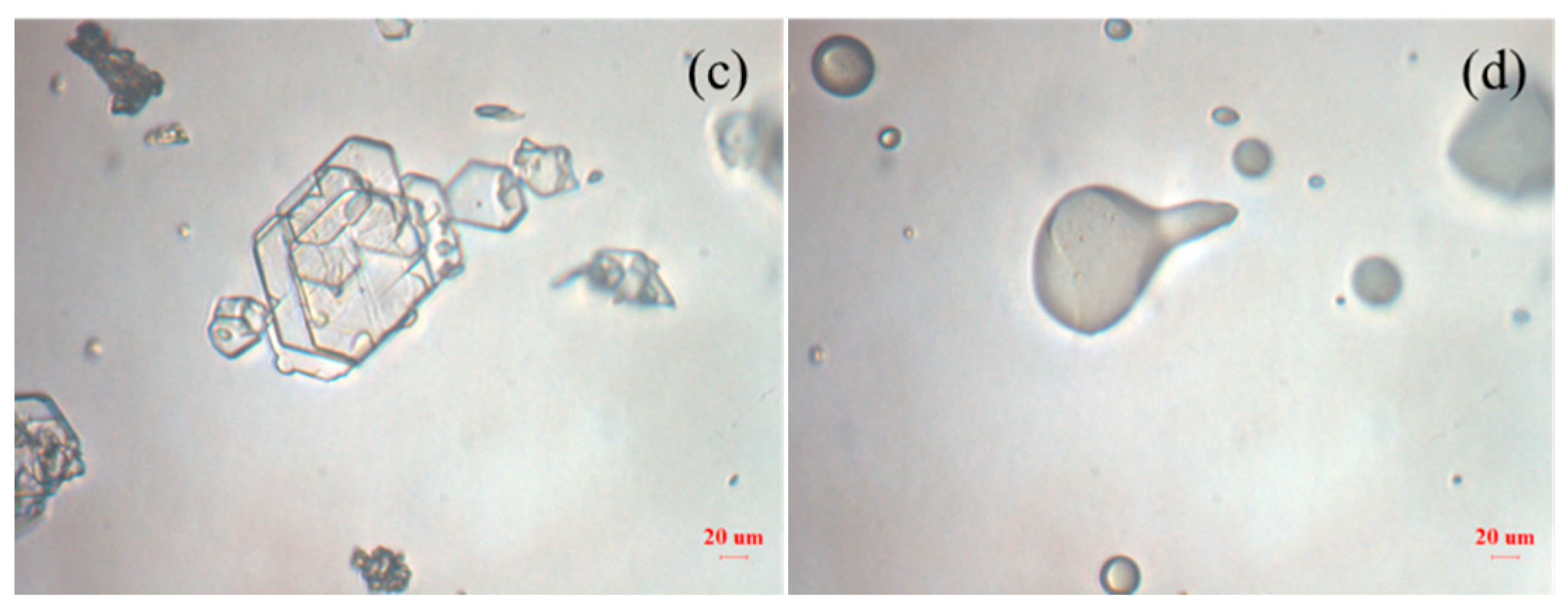 Crystals 10 00922 g008b