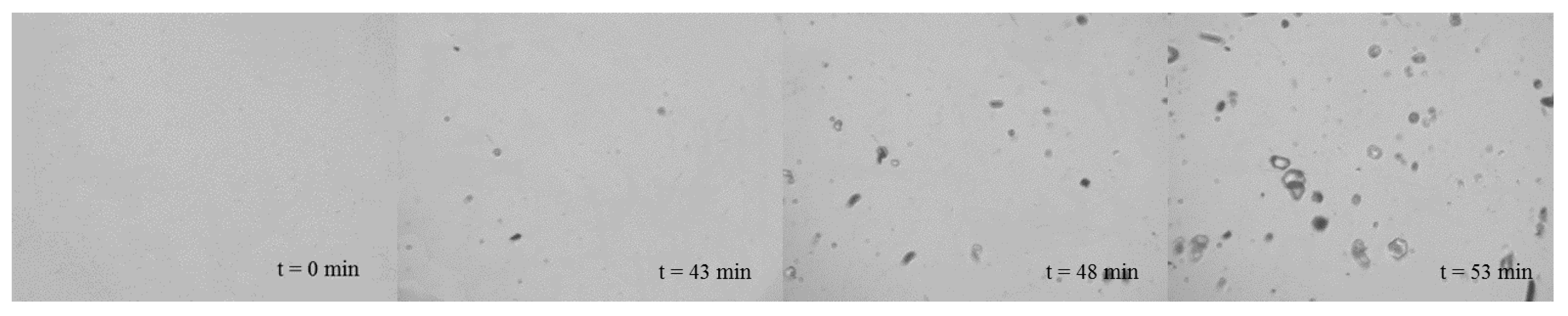 Crystals 10 00922 g014a