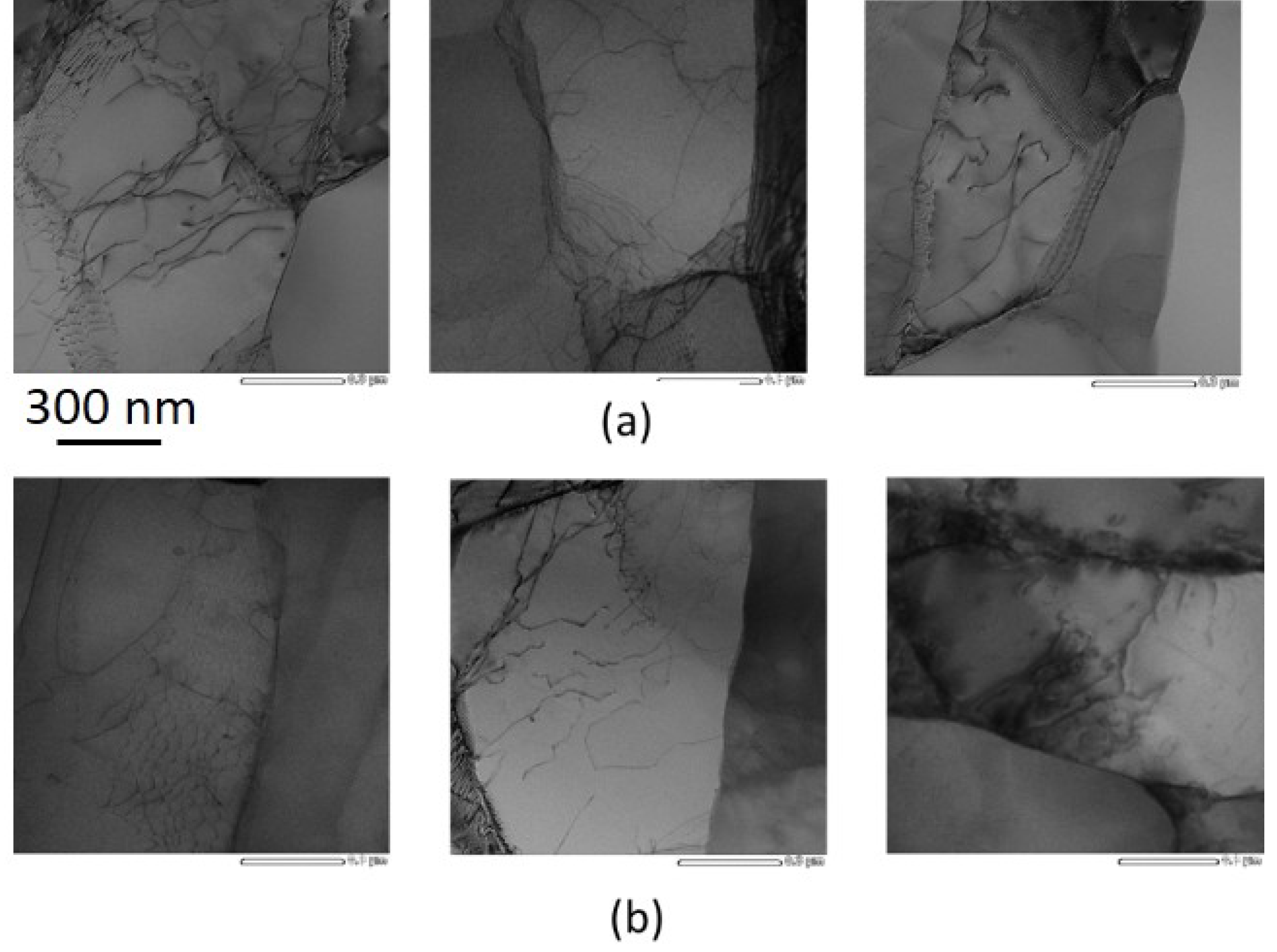 Crystals 10 00926 g006