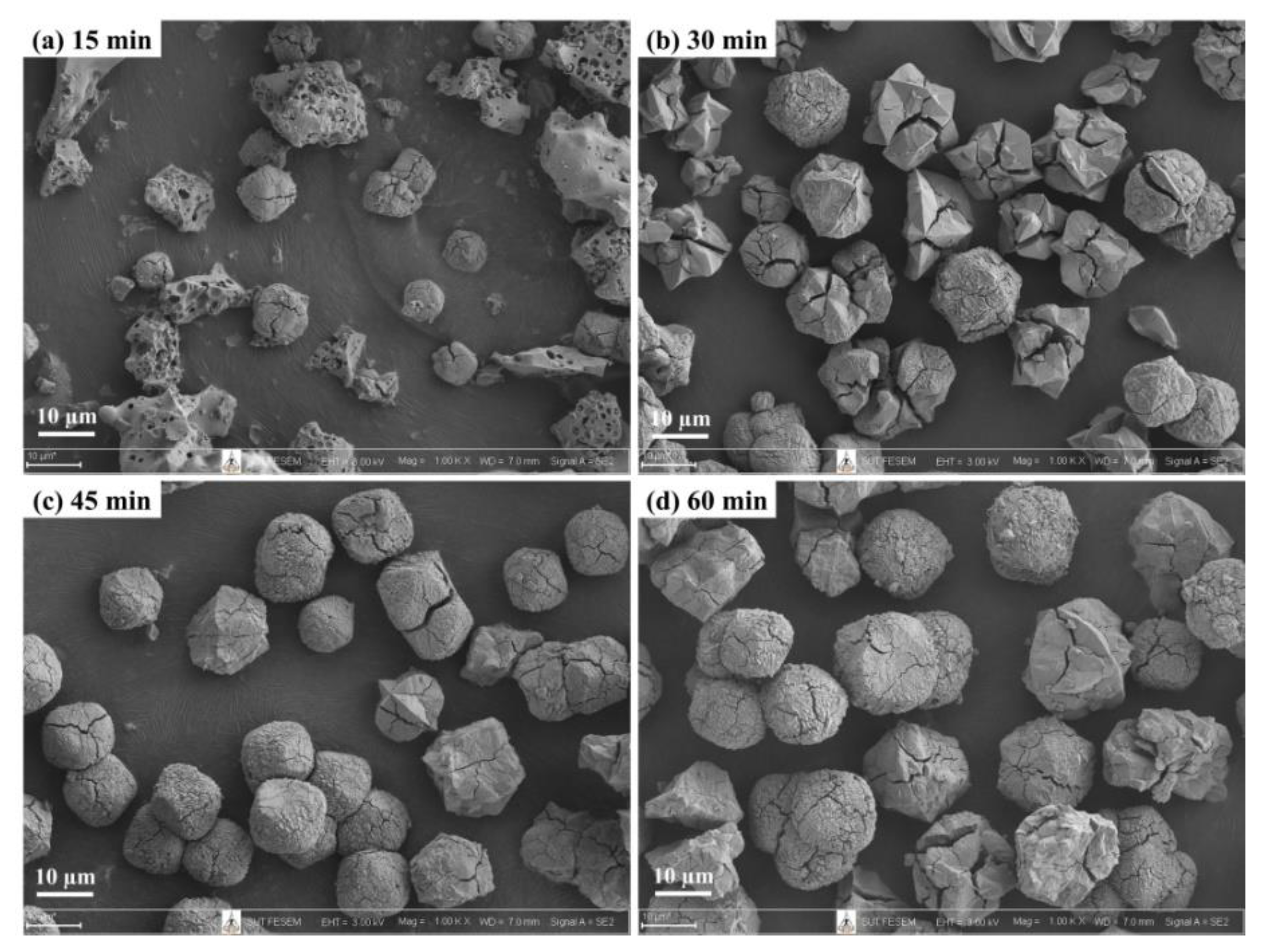 Crystals 10 00951 g004