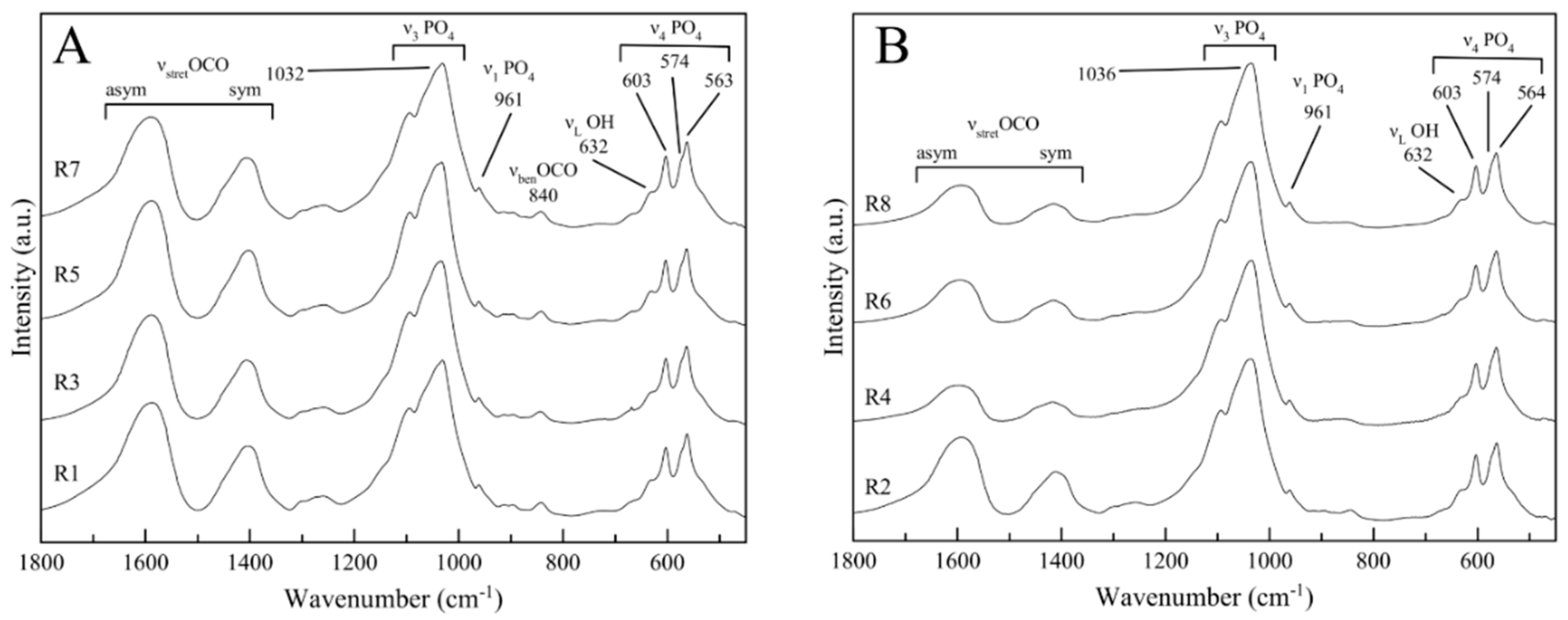 Crystals 10 00953 g005