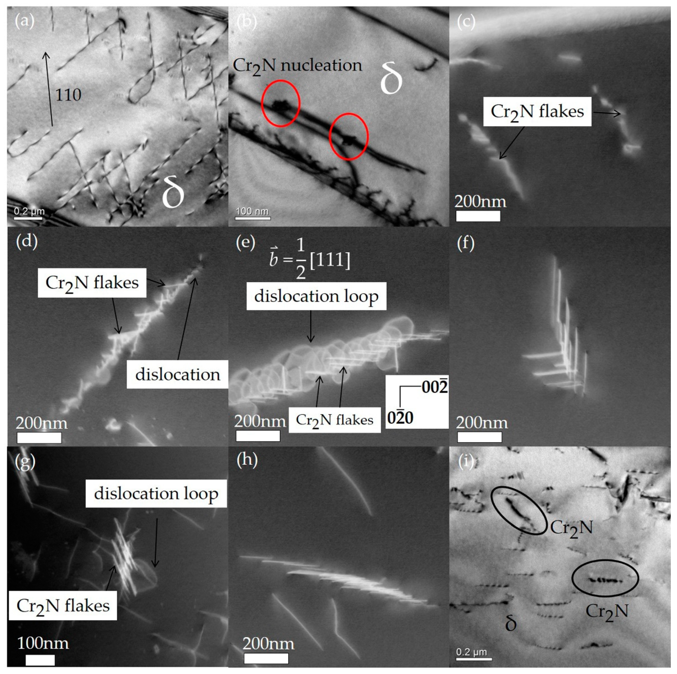Crystals 10 00965 g004 Crystals 10 00965 g004