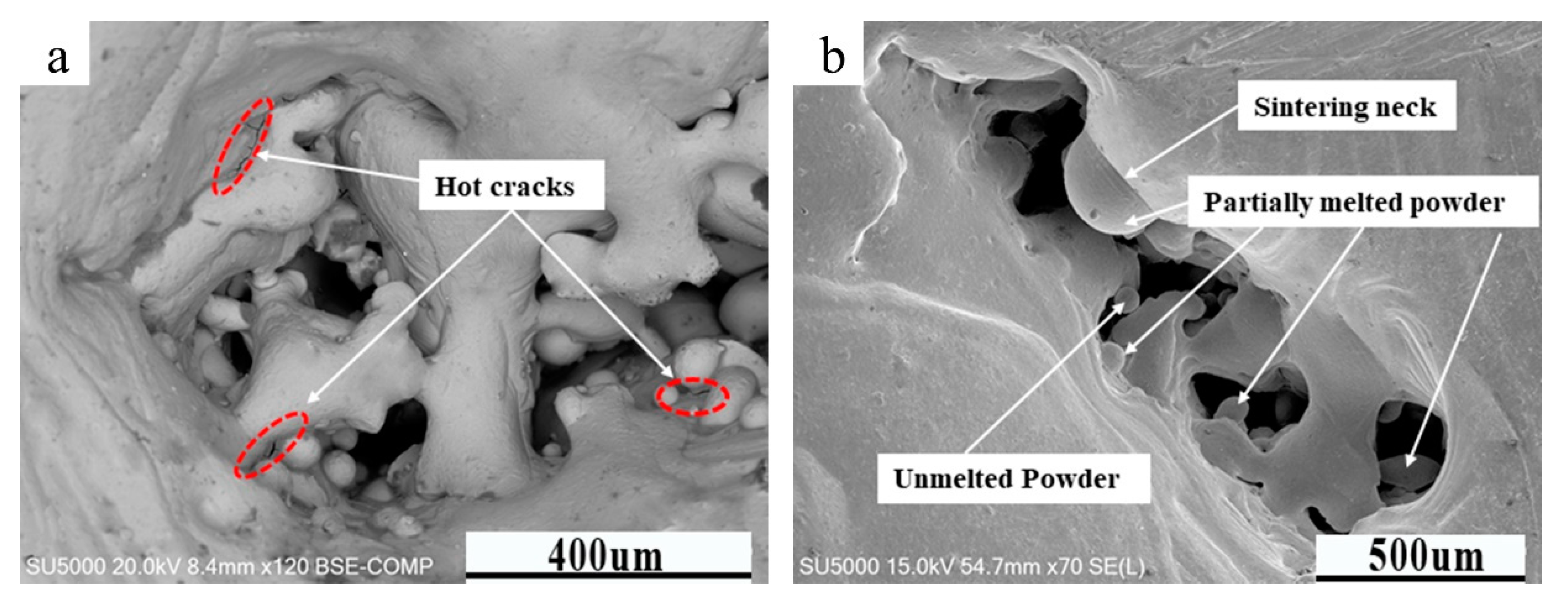 Crystals 10 00972 g006 Crystals 10 00972 g006