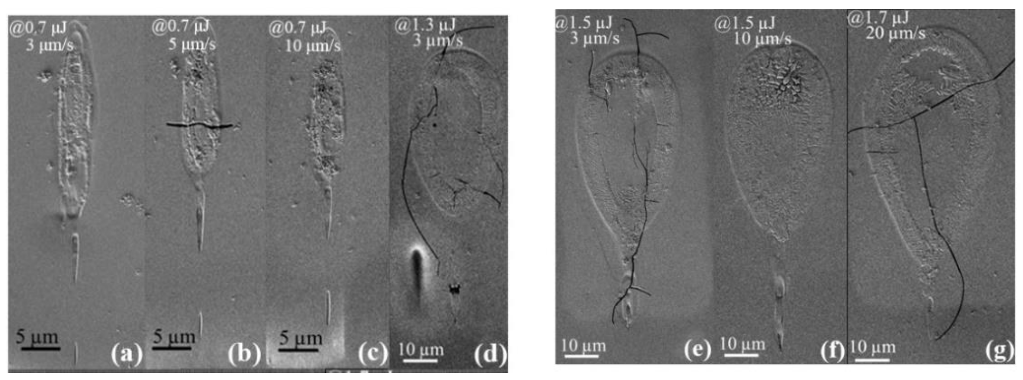 Crystals 10 00979 g002 Crystals 10 00979 g002