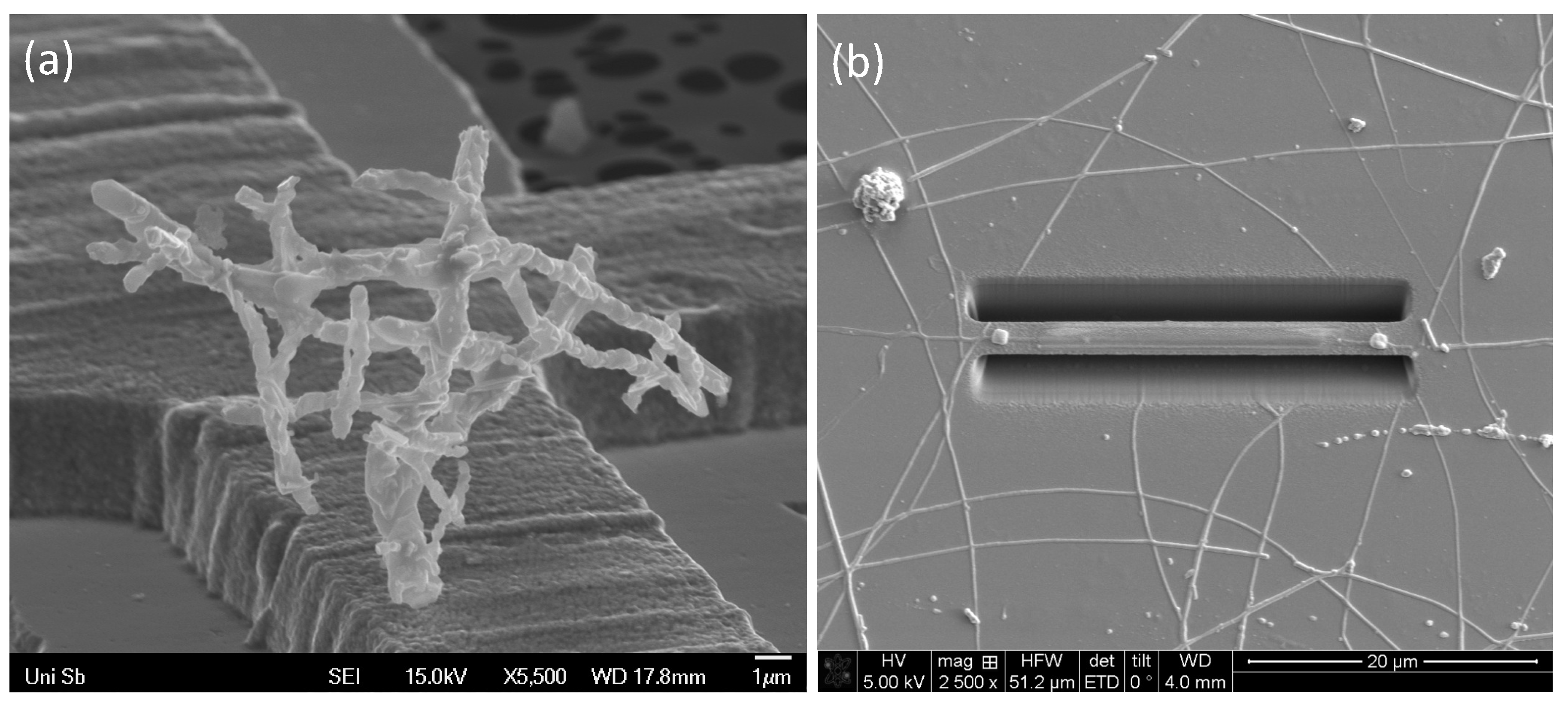 Crystals 10 00986 g003 Crystals 10 00986 g003