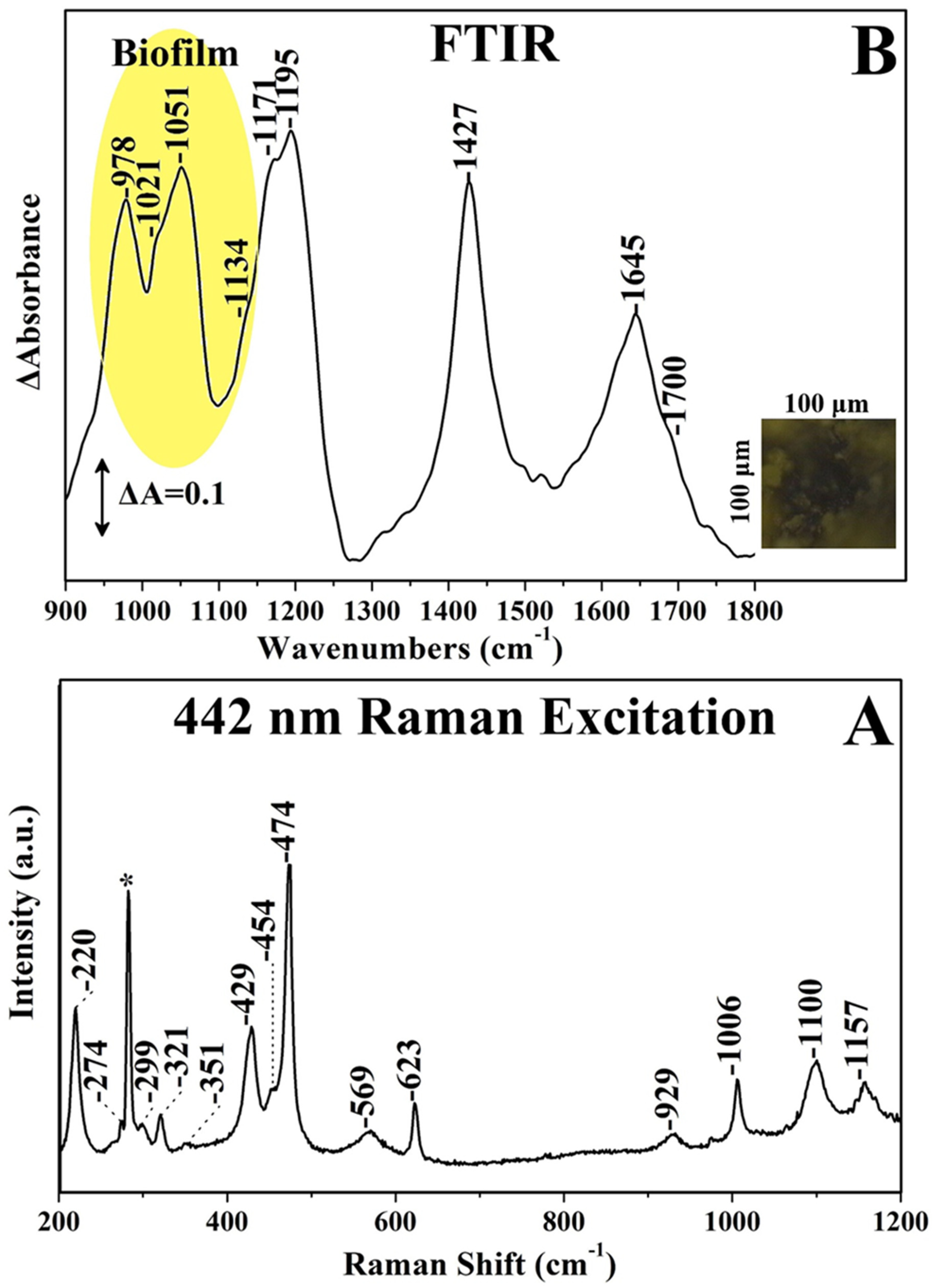 Crystals 10 01002 g001