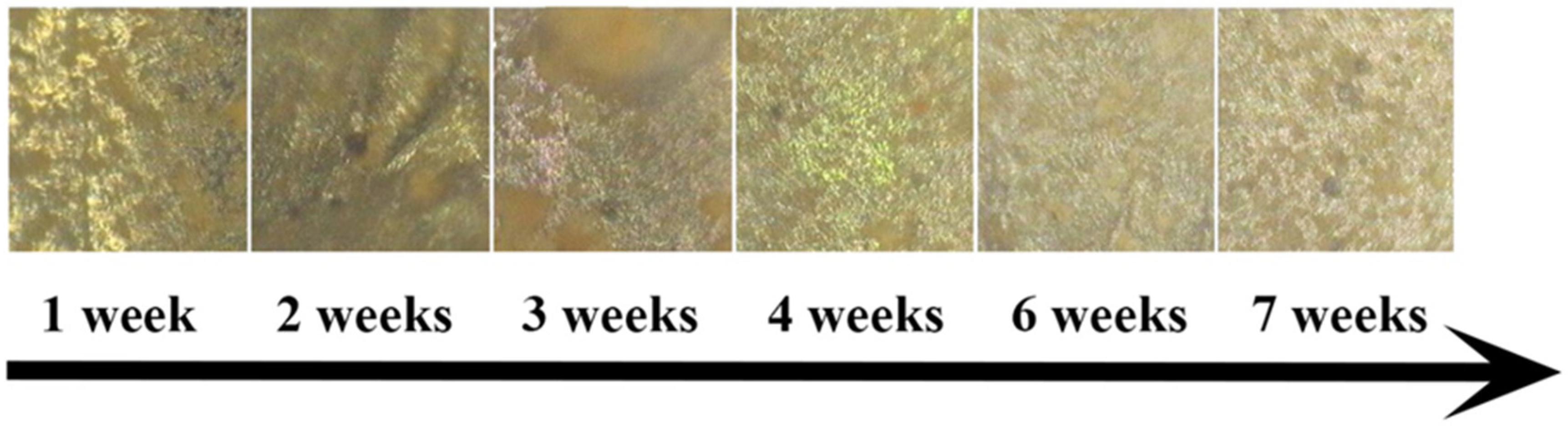 Crystals 10 01002 g003