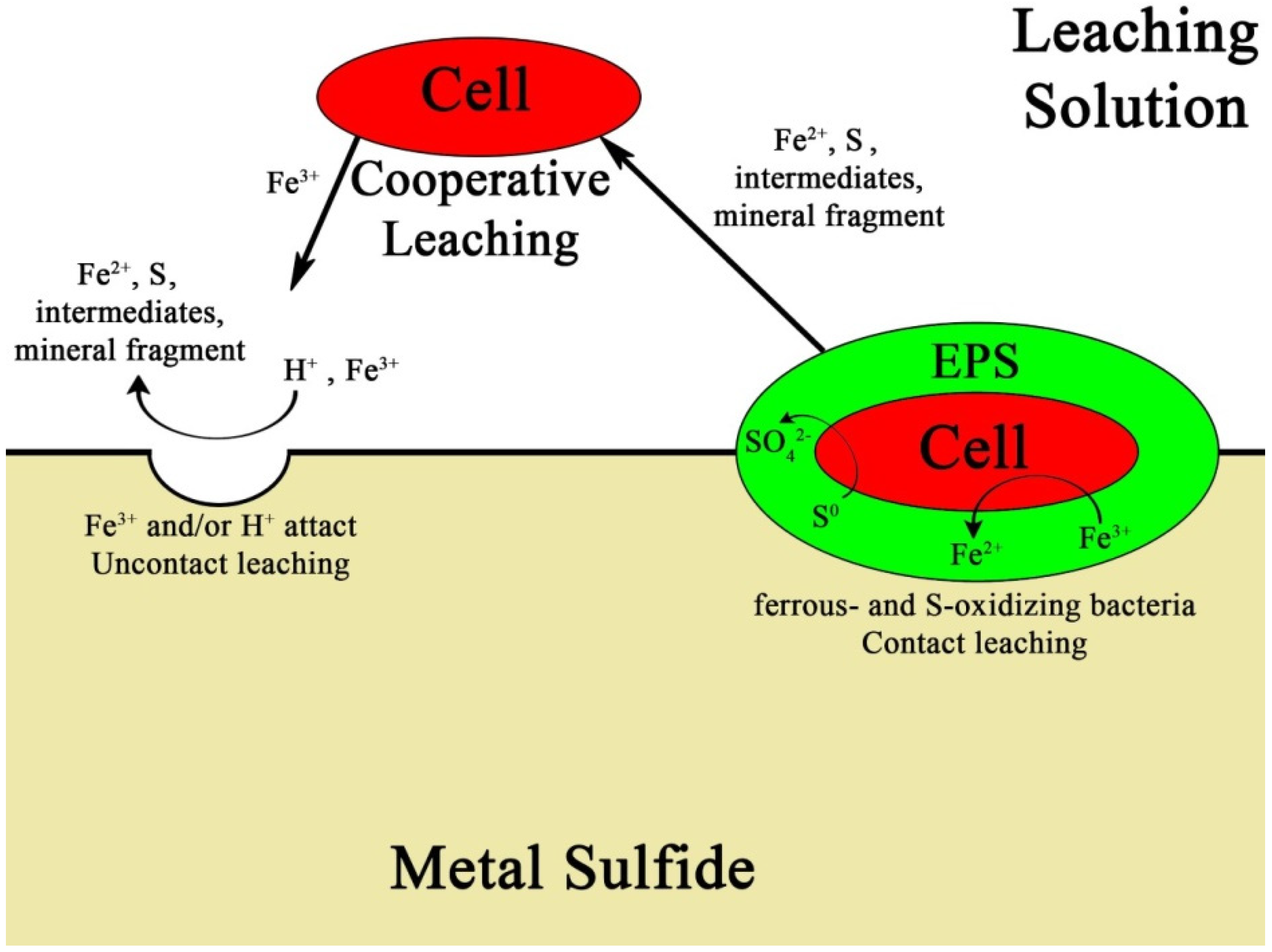 Crystals 10 01002 g004