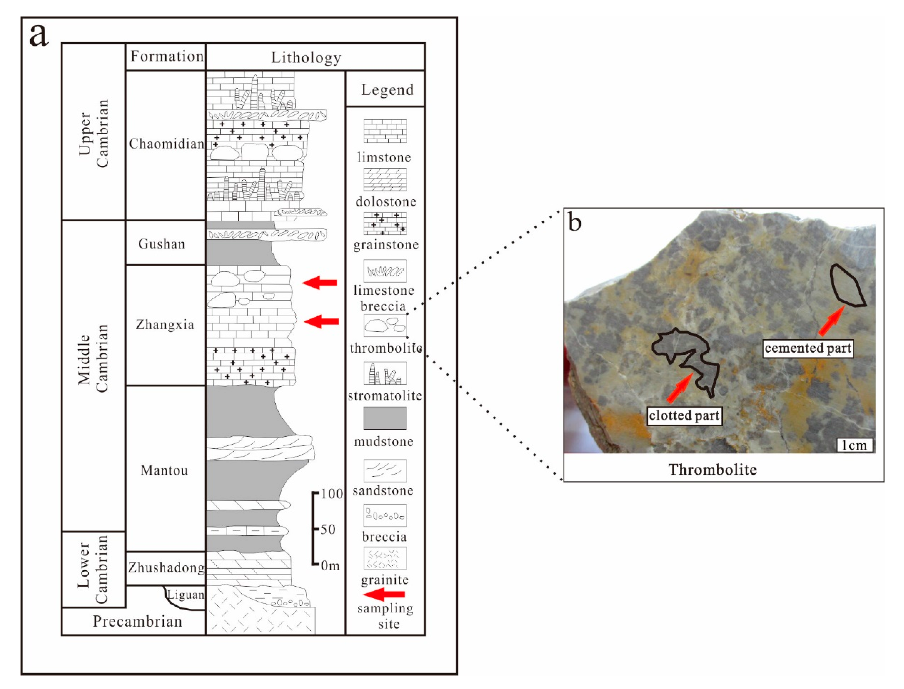 Crystals 10 01017 g001