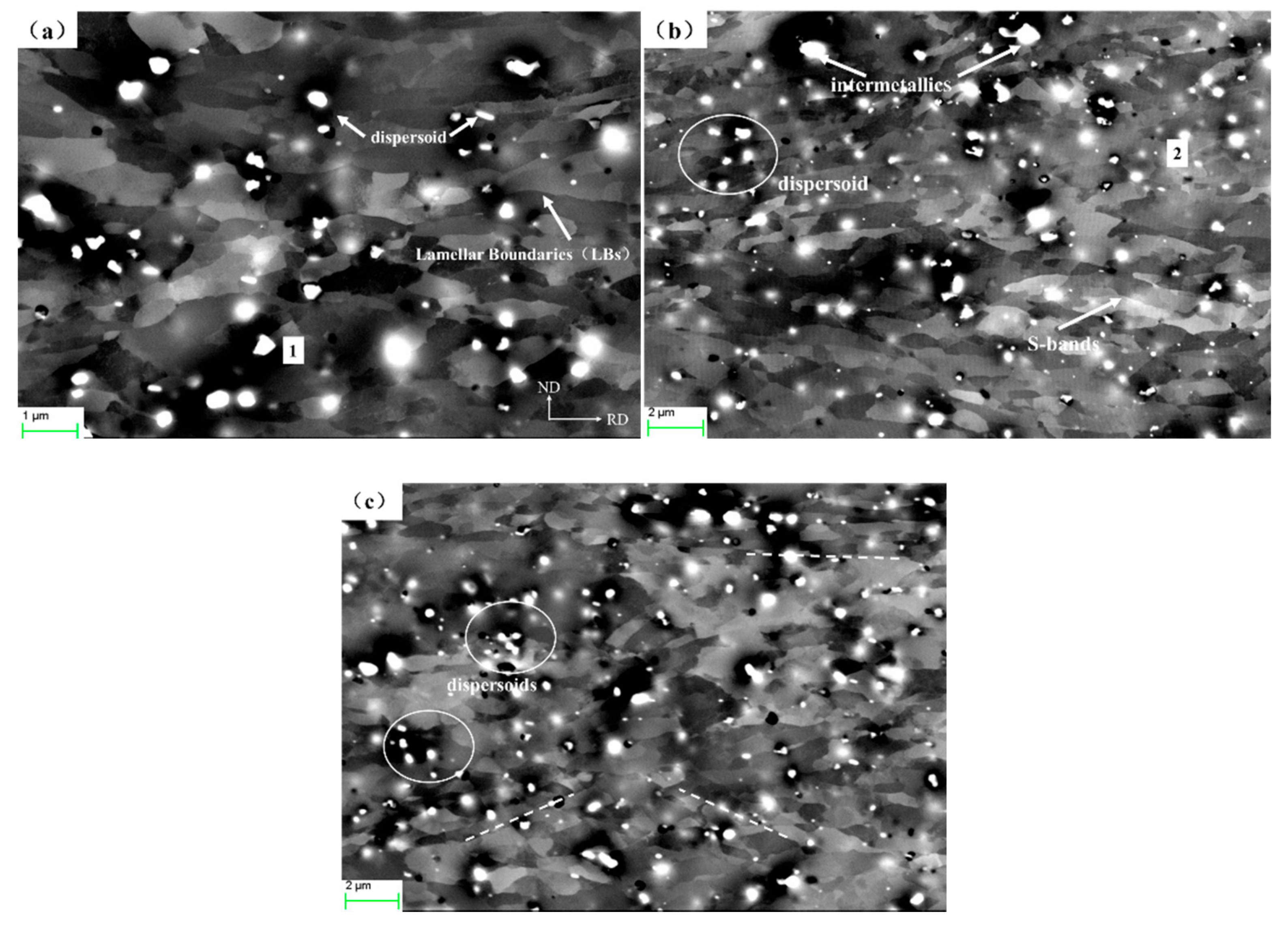 Crystals 10 01027 g007 Crystals 10 01027 g007
