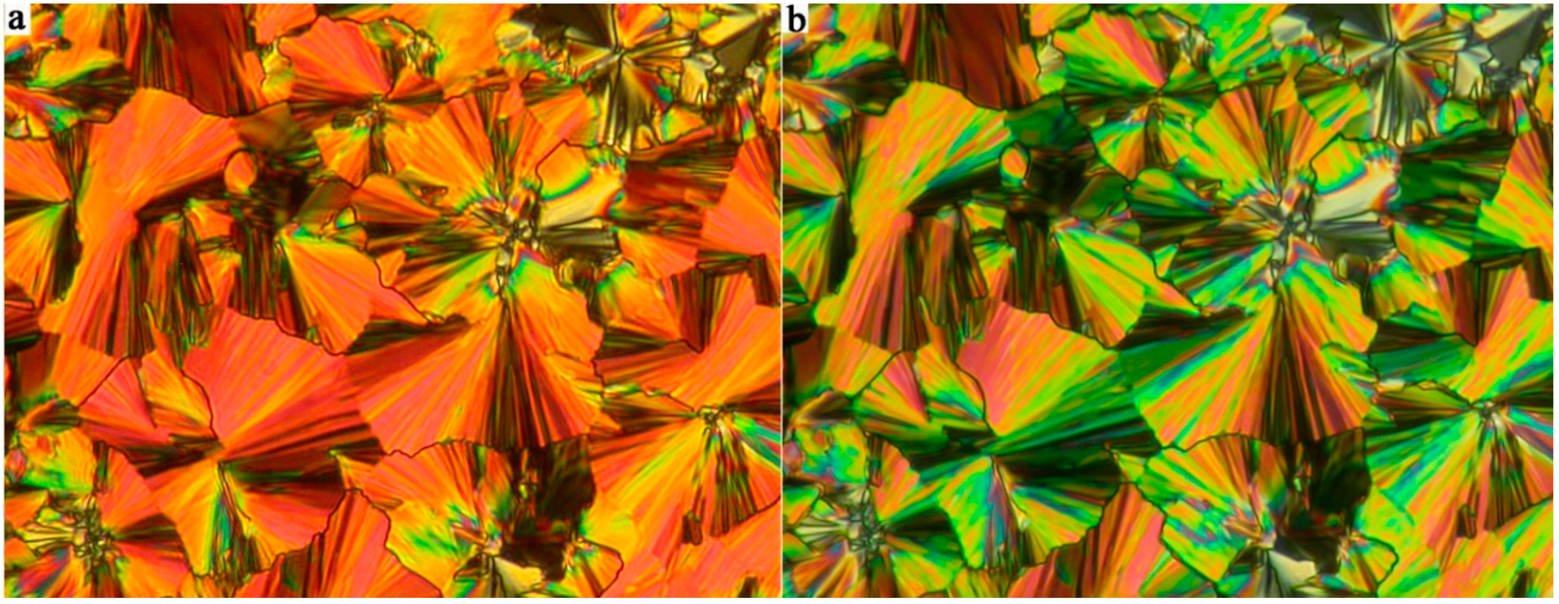 Crystals 10 01030 g004