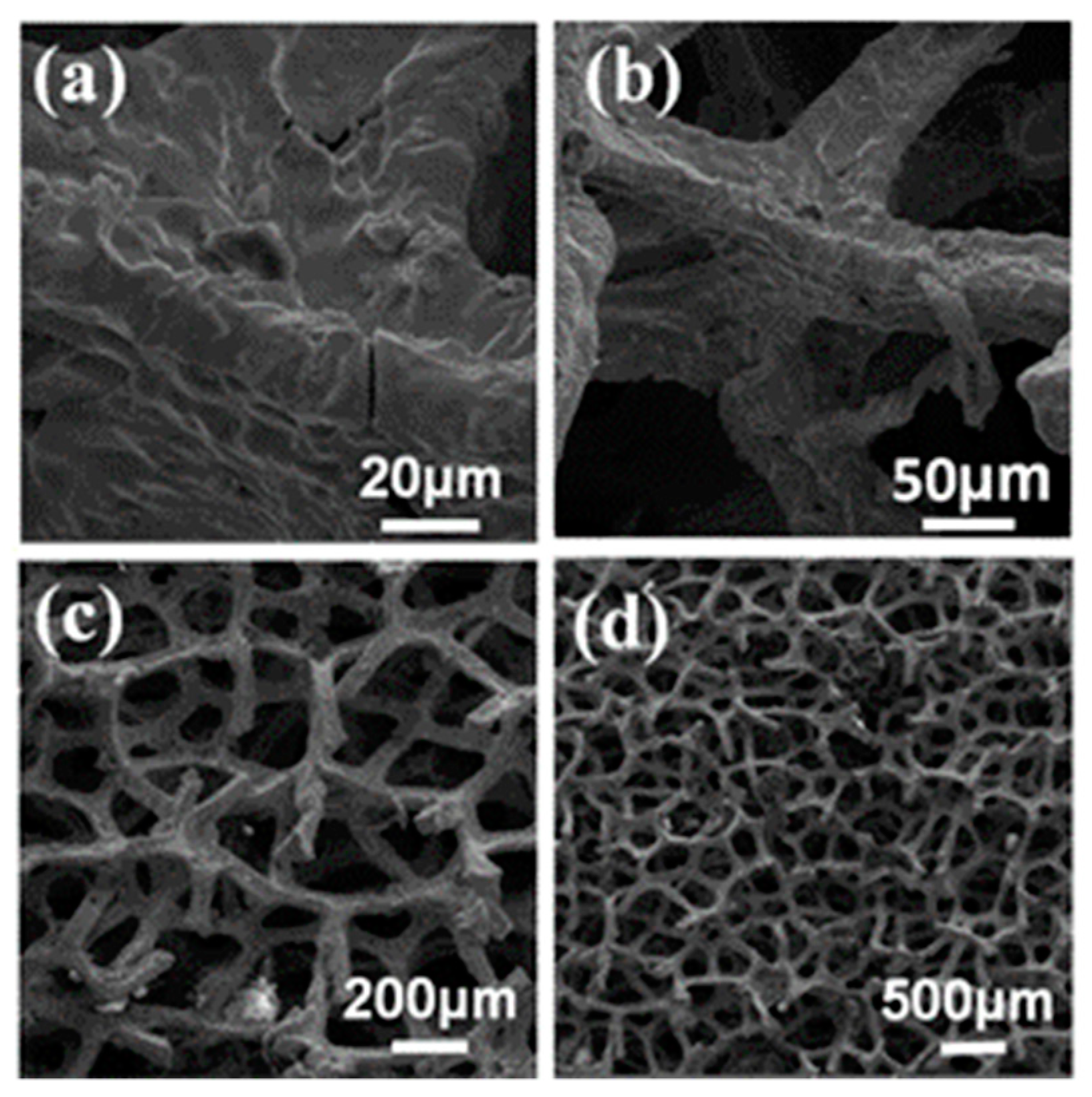 Crystals 10 01043 g003