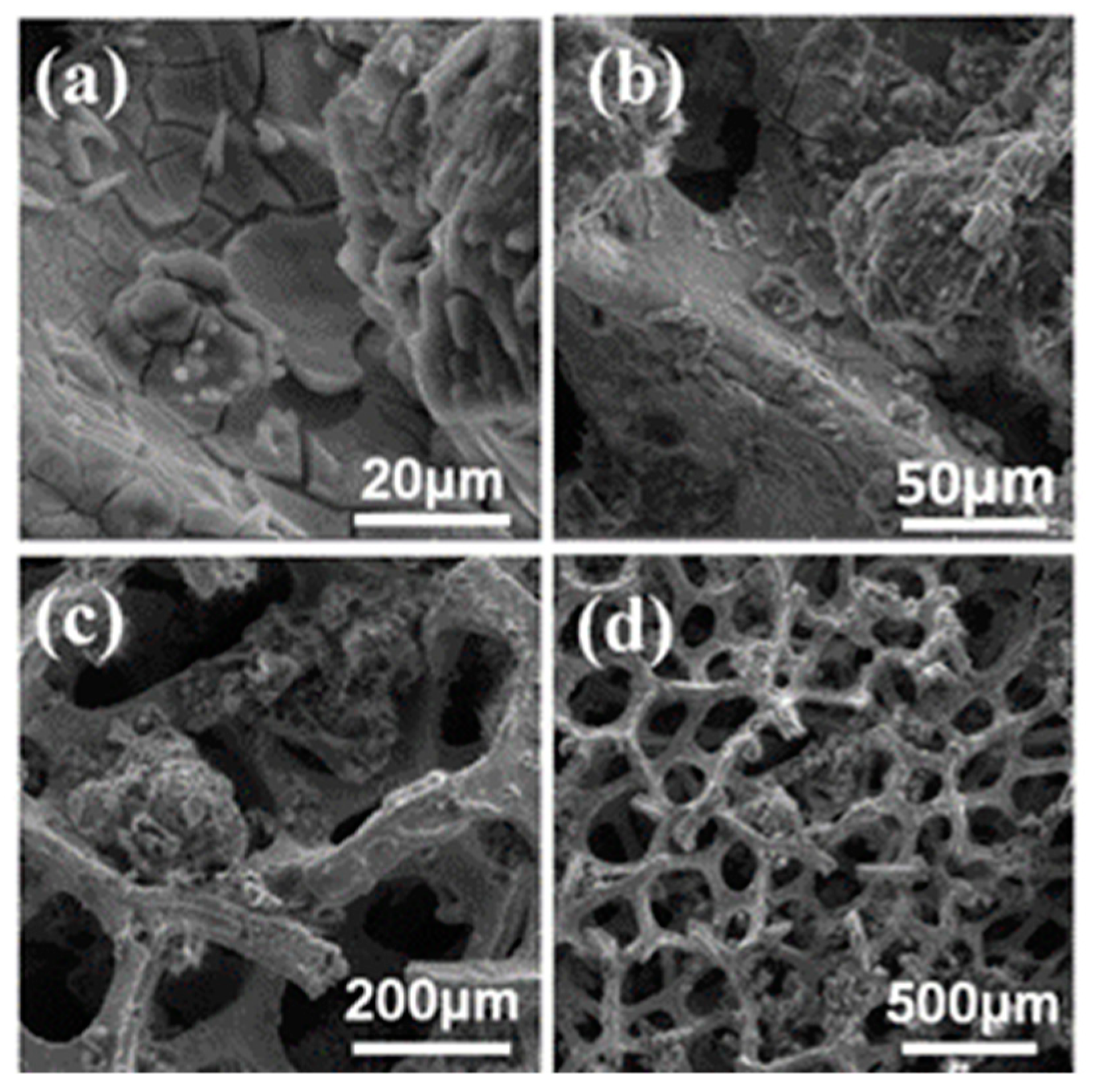 Crystals 10 01043 g004