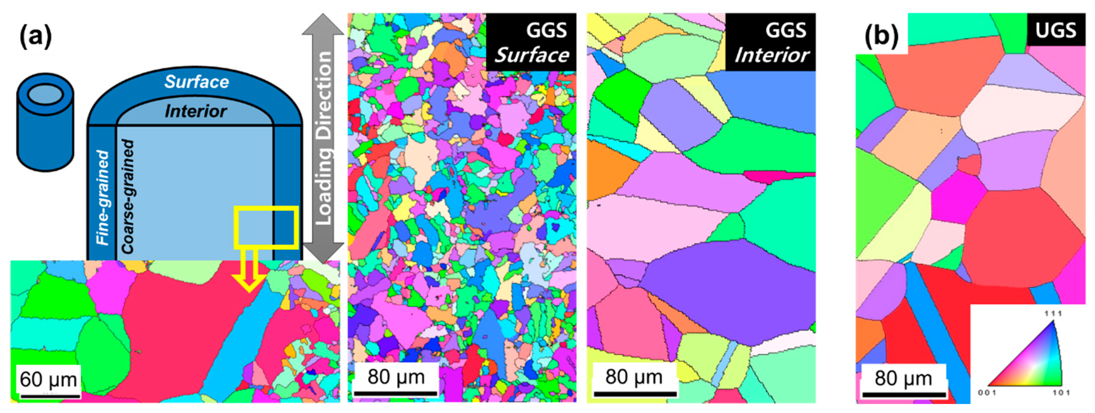 Crystals 10 01045 g001