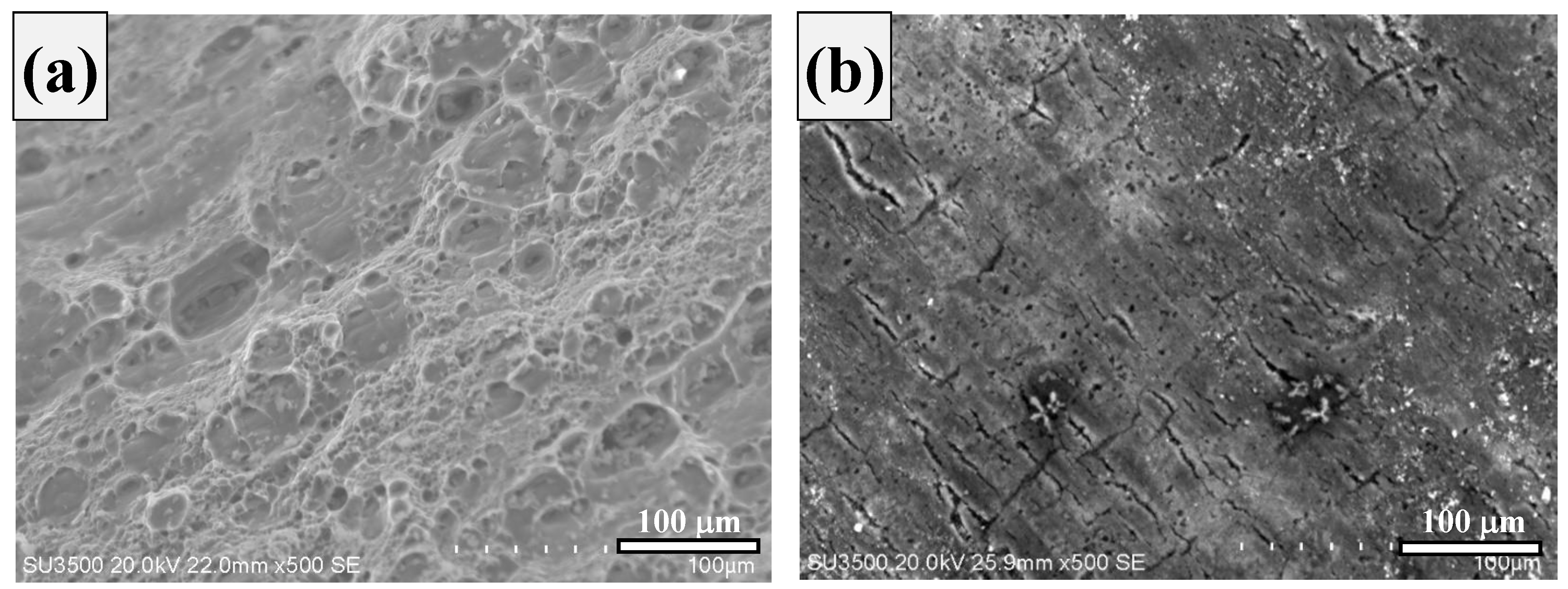 Crystals 10 01068 g011