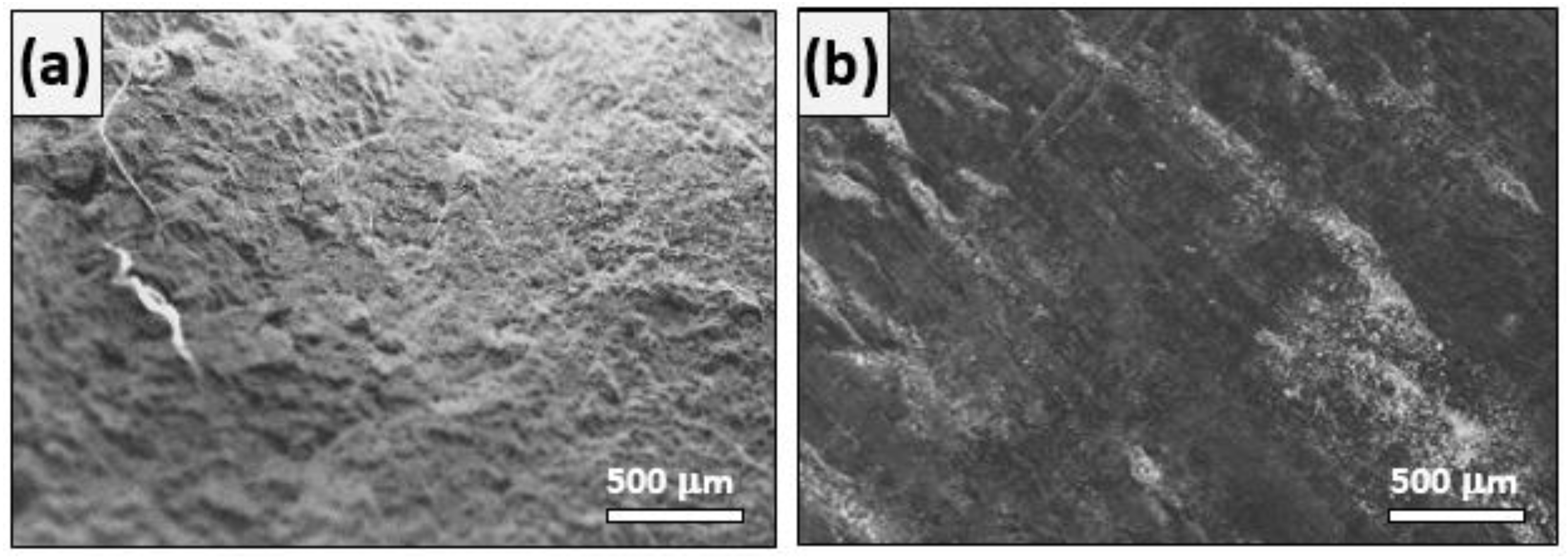 Crystals 10 01068 g014