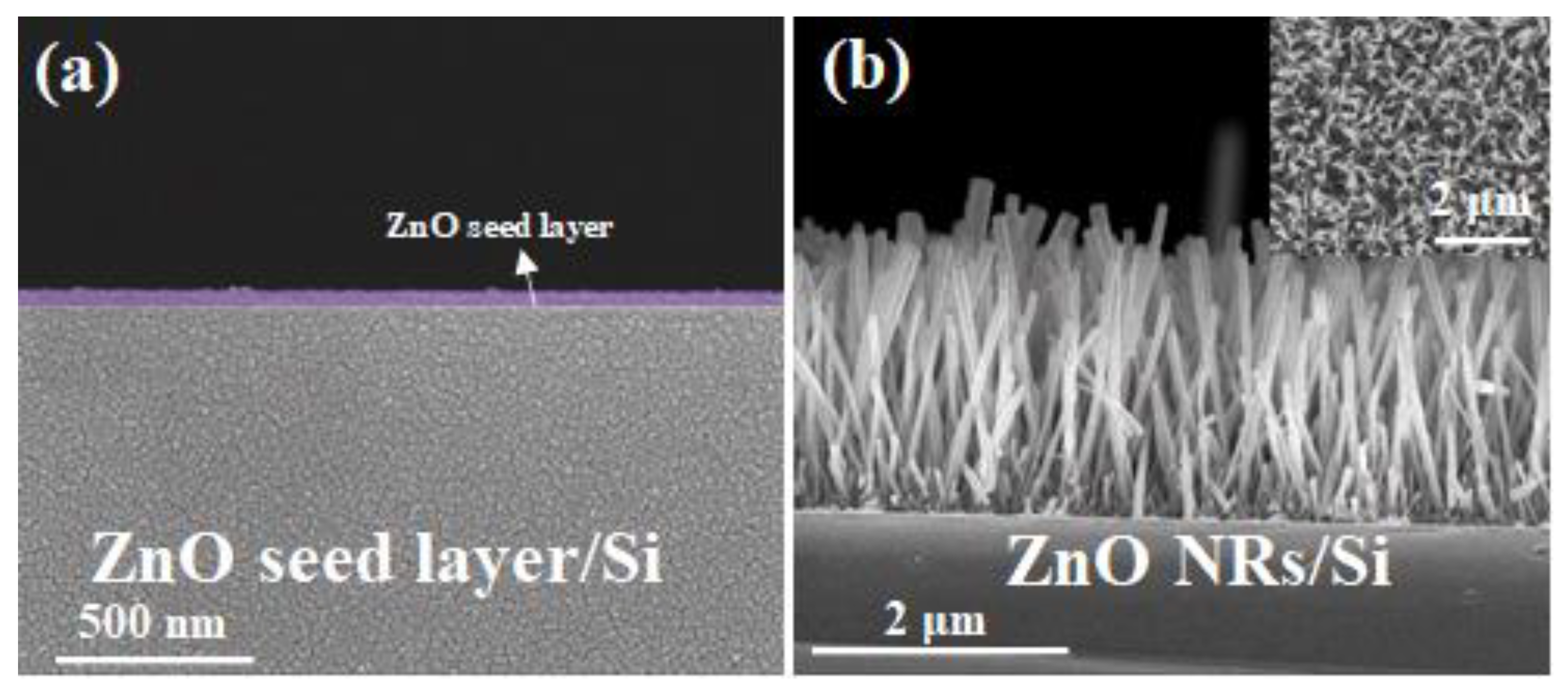 Crystals 10 01082 g002 Crystals 10 01082 g002