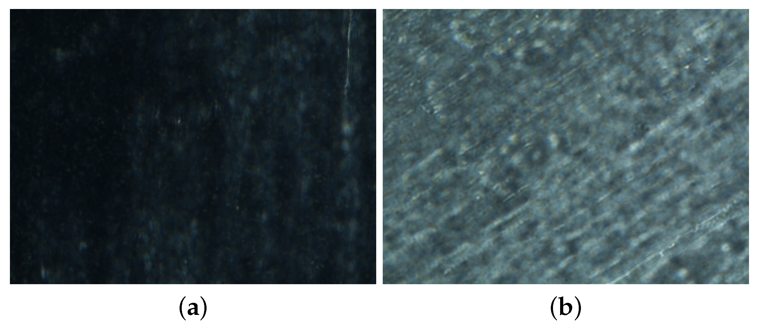 Crystals 10 01106 g006