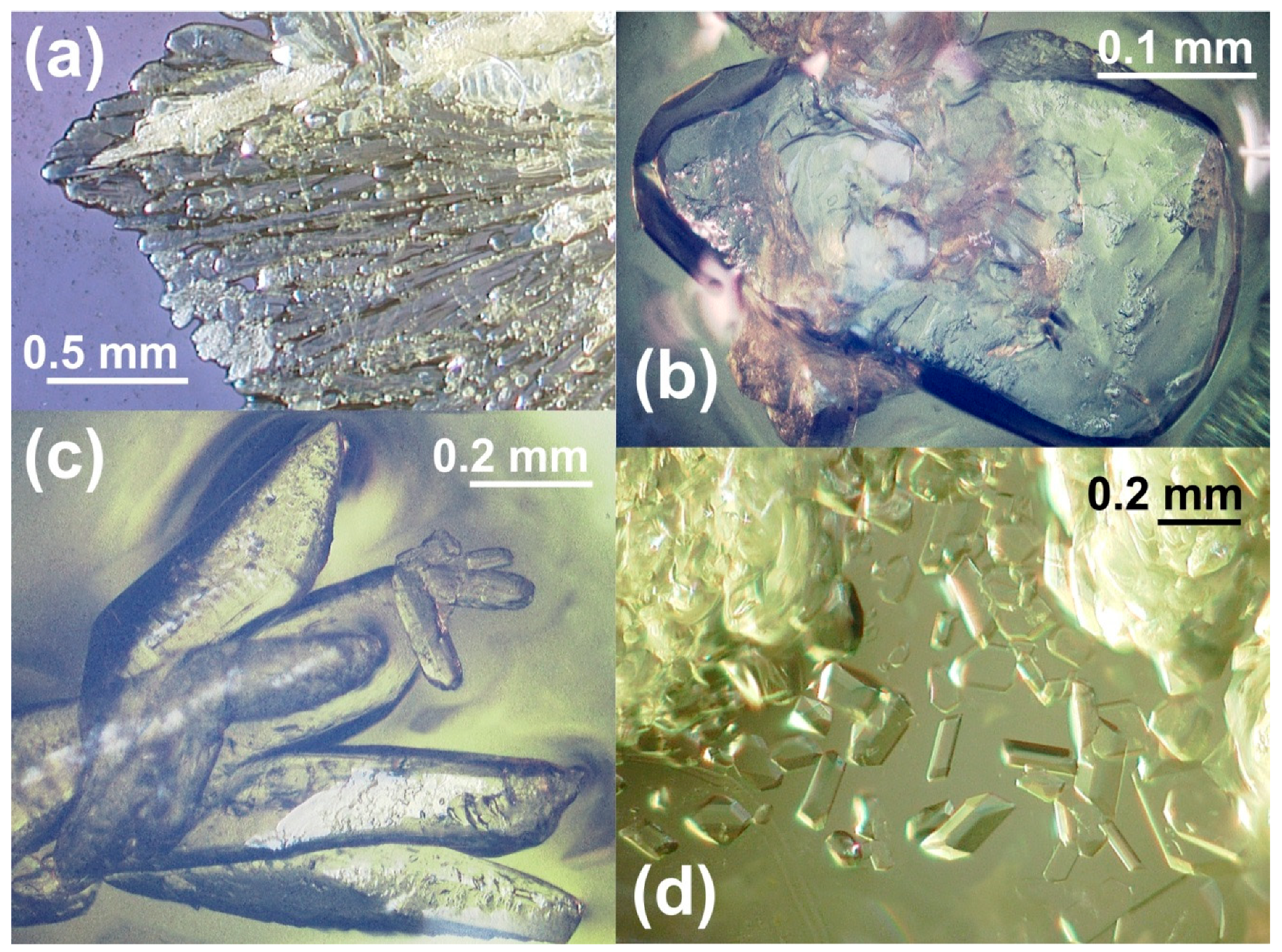 Crystals 10 01122 g001 Crystals 10 01122 g001