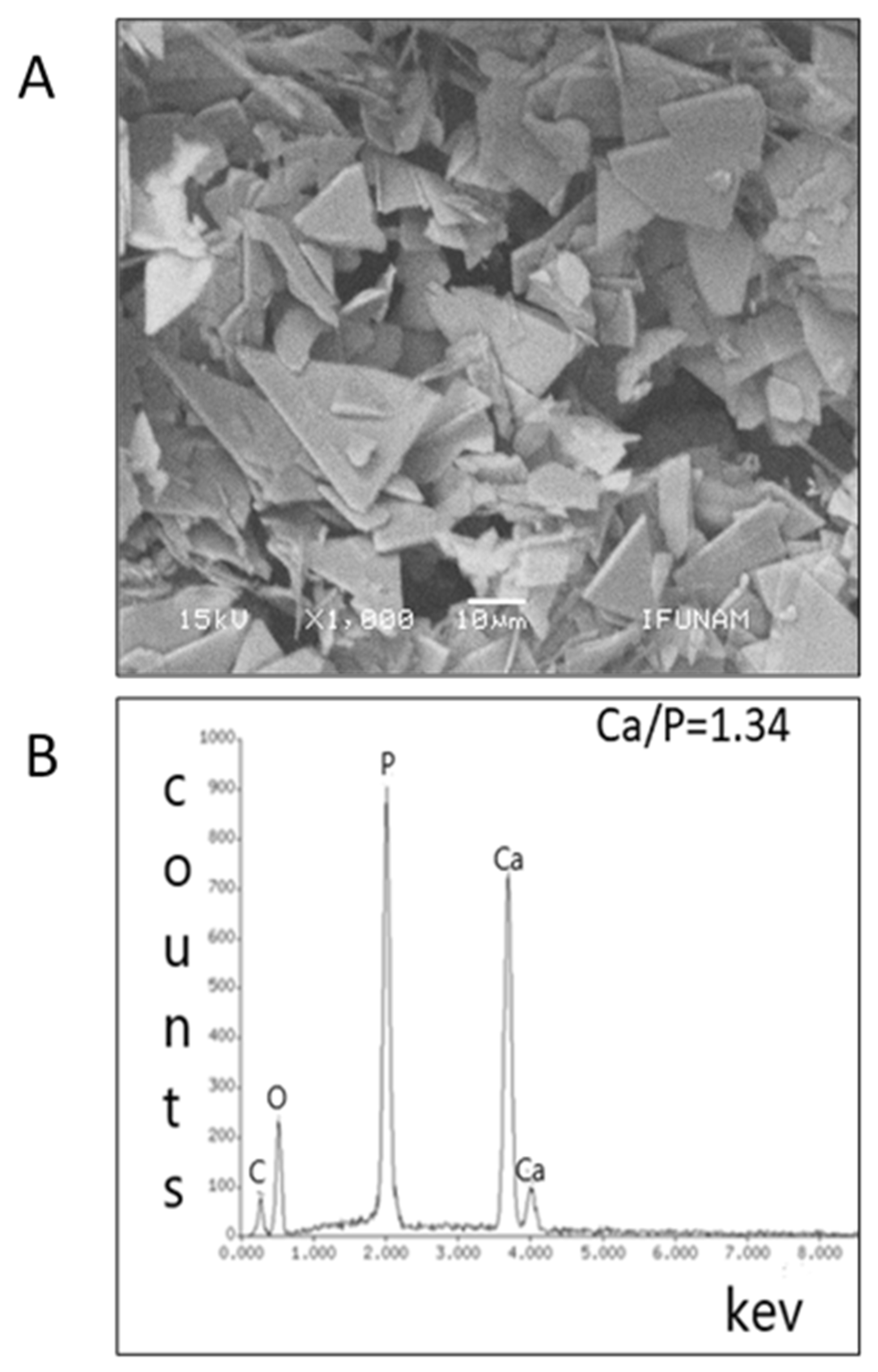 Crystals 10 01131 g001 Crystals 10 01131 g001