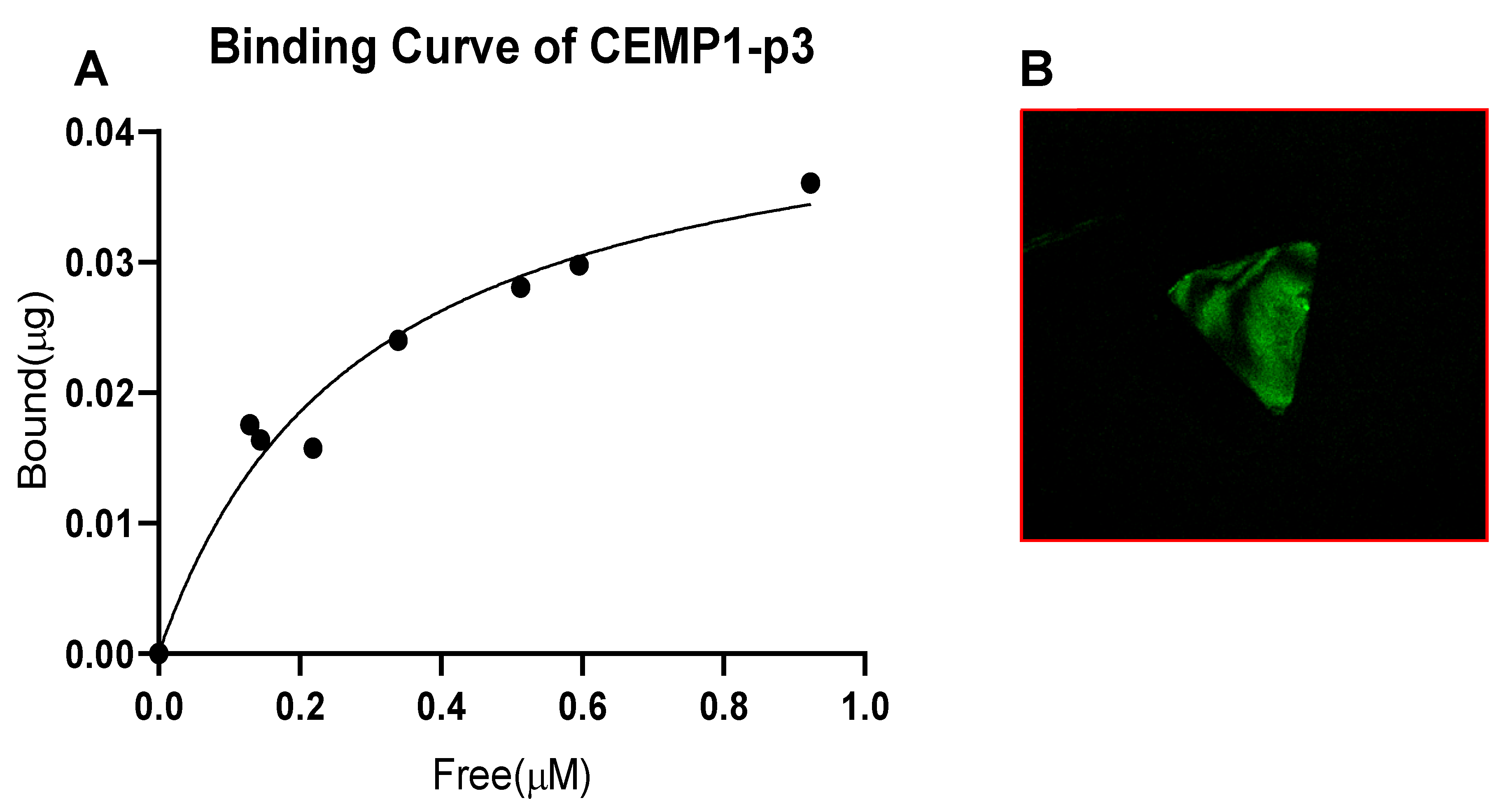 Crystals 10 01131 g004 Crystals 10 01131 g004