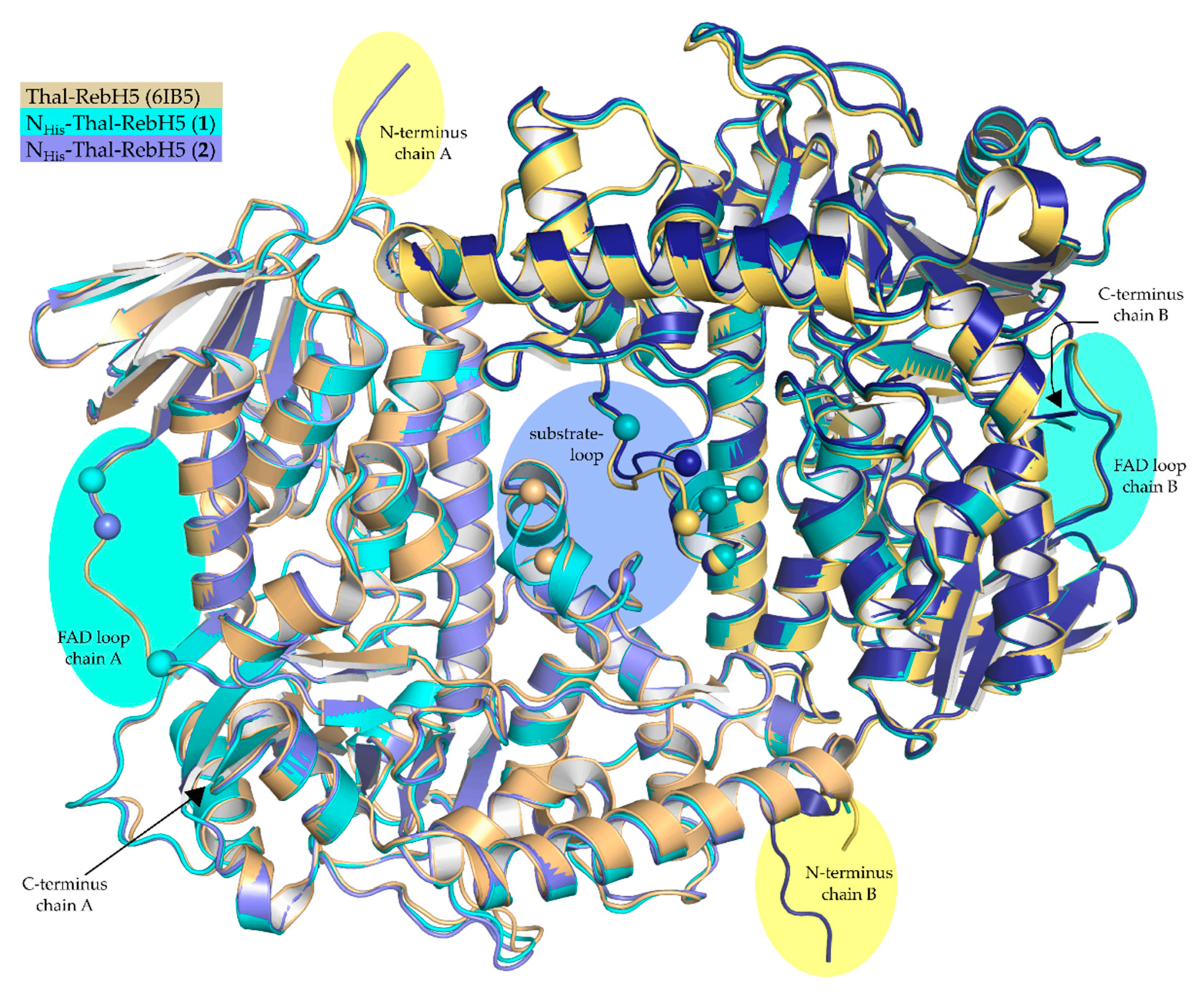 Crystals 10 01135 g003 Crystals 10 01135 g003