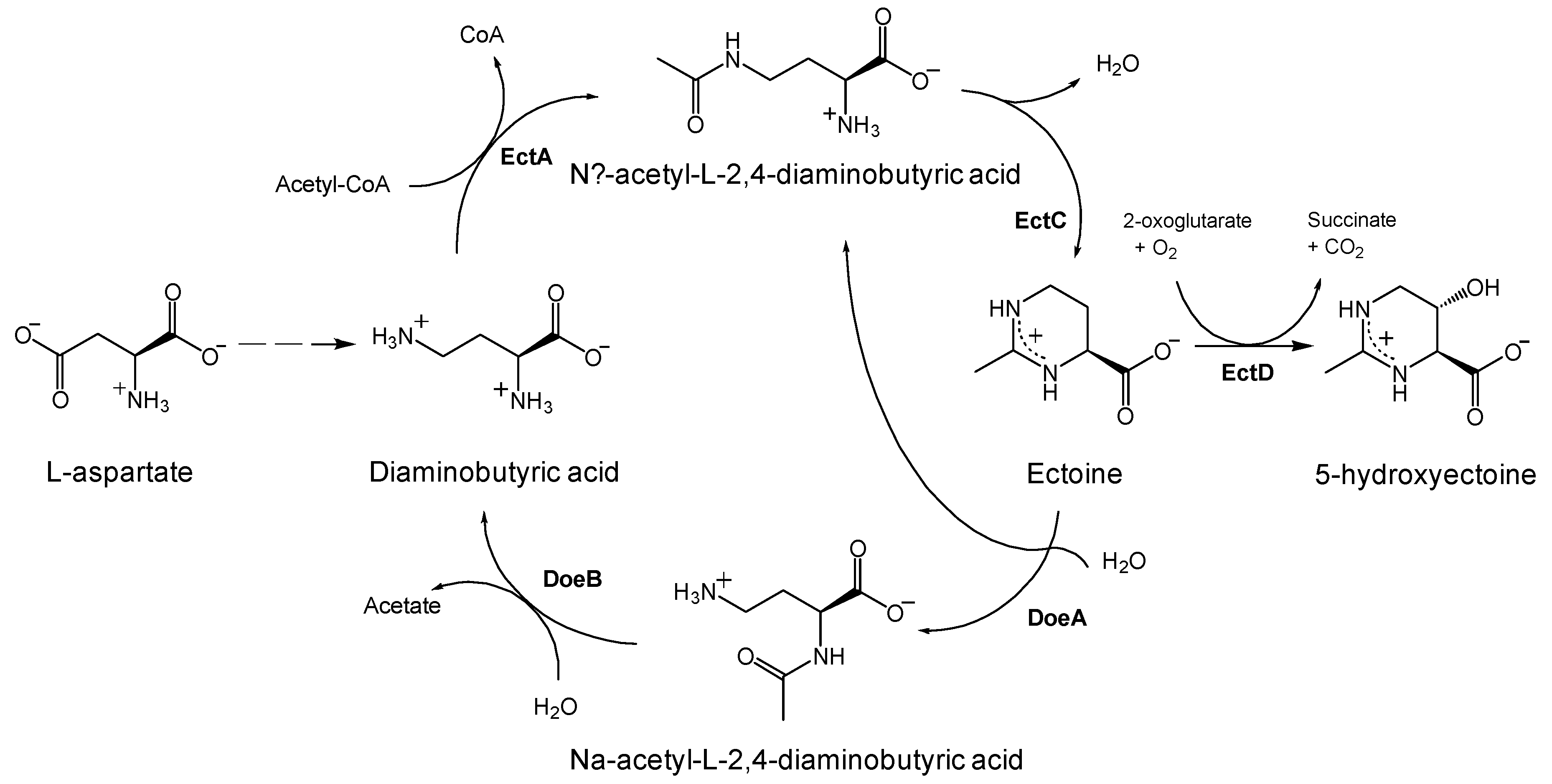 Crystals 10 01136 g001