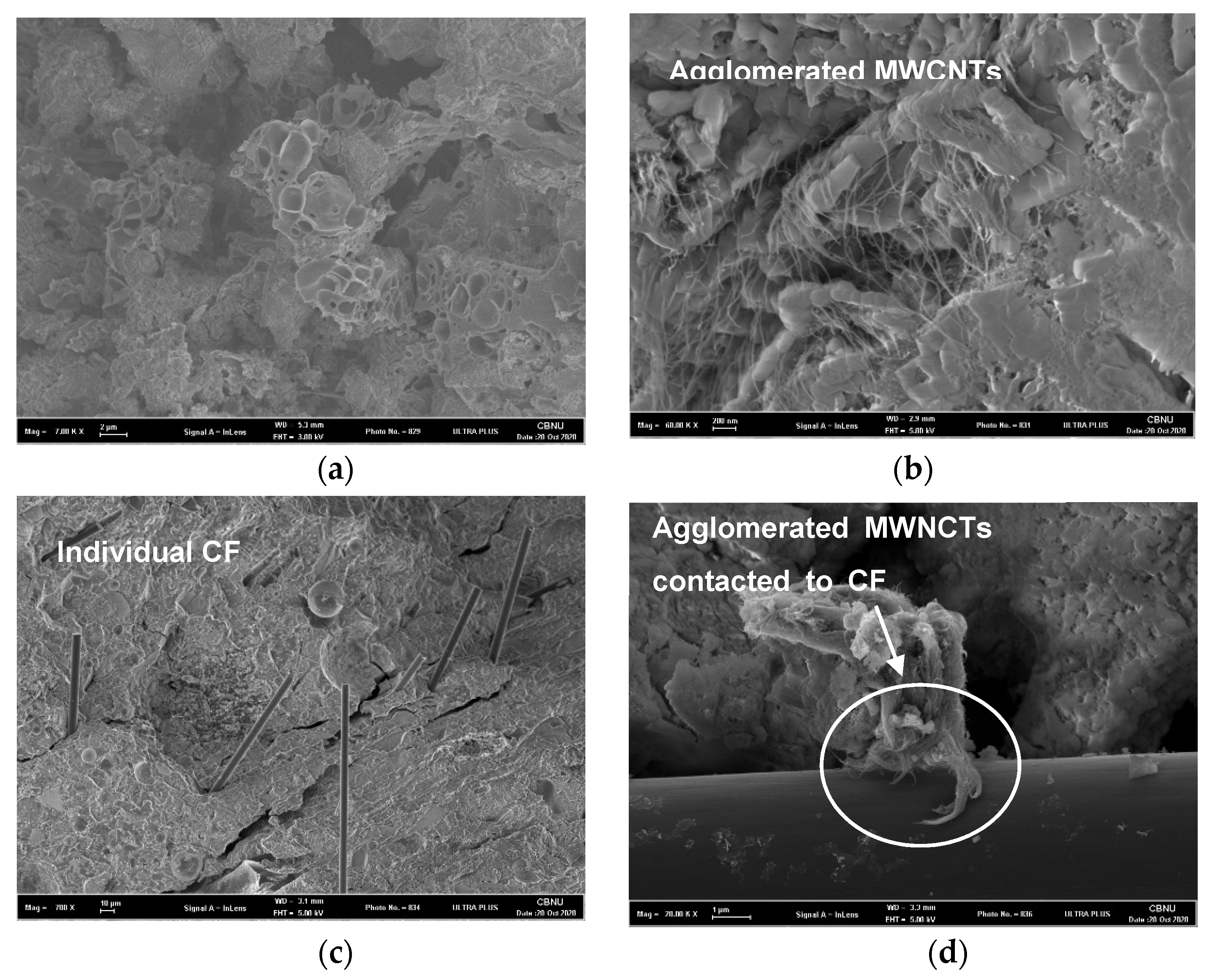 Crystals 10 01139 g005
