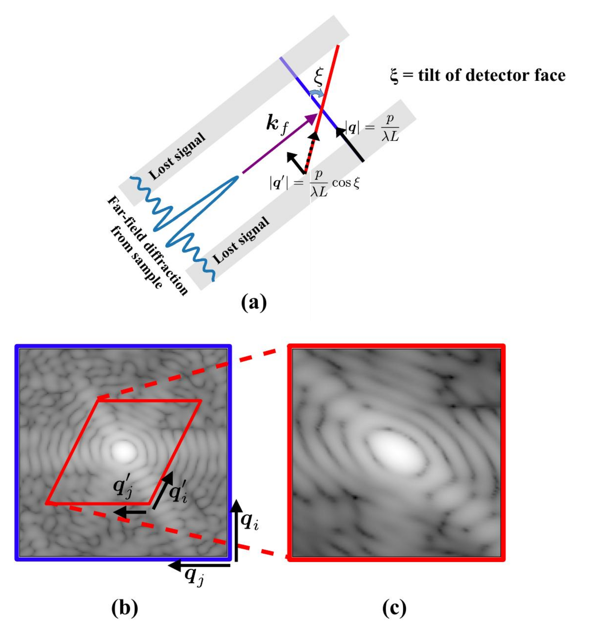 Crystals 10 01150 g003 Crystals 10 01150 g003