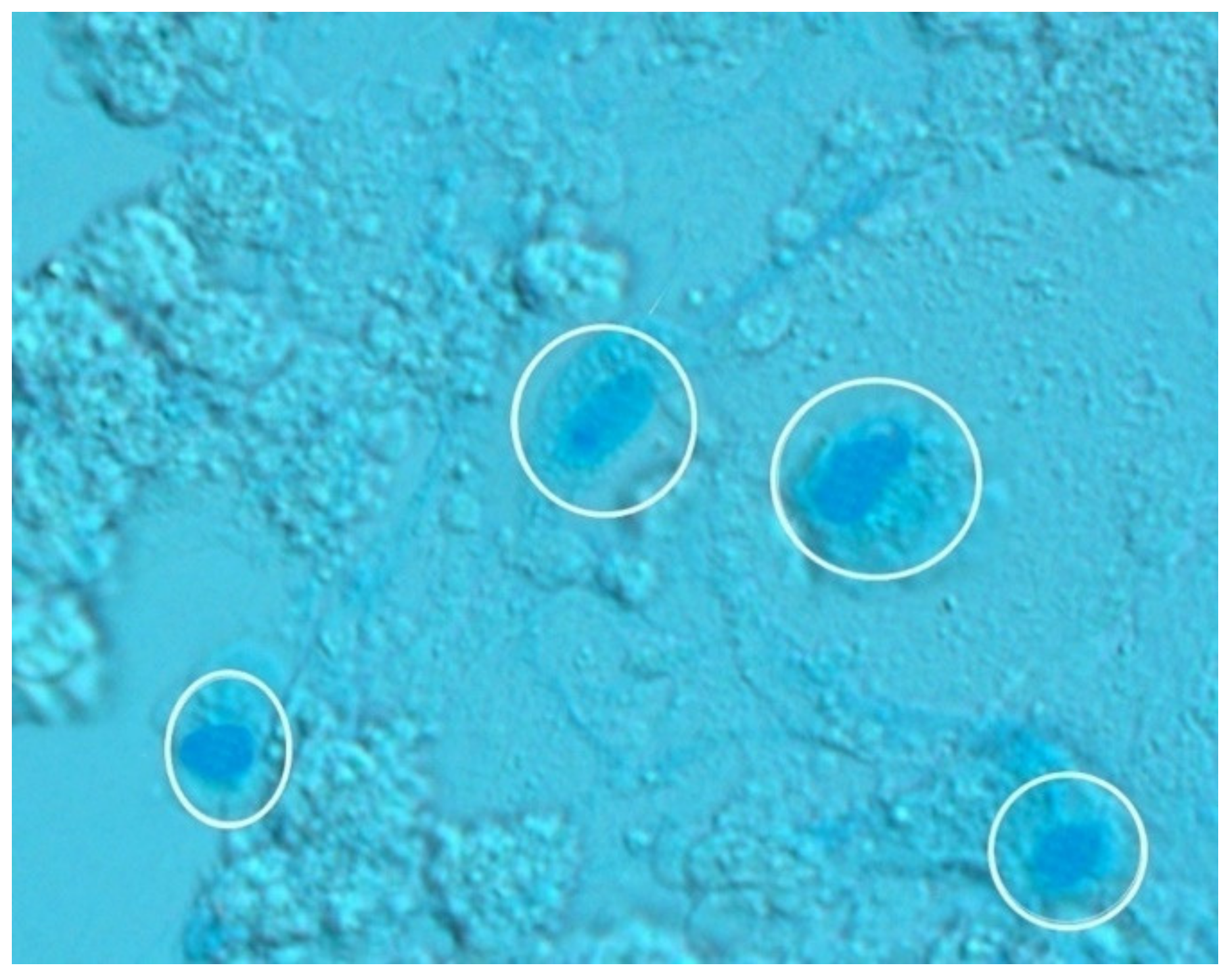 Crystals 11 00002 g009