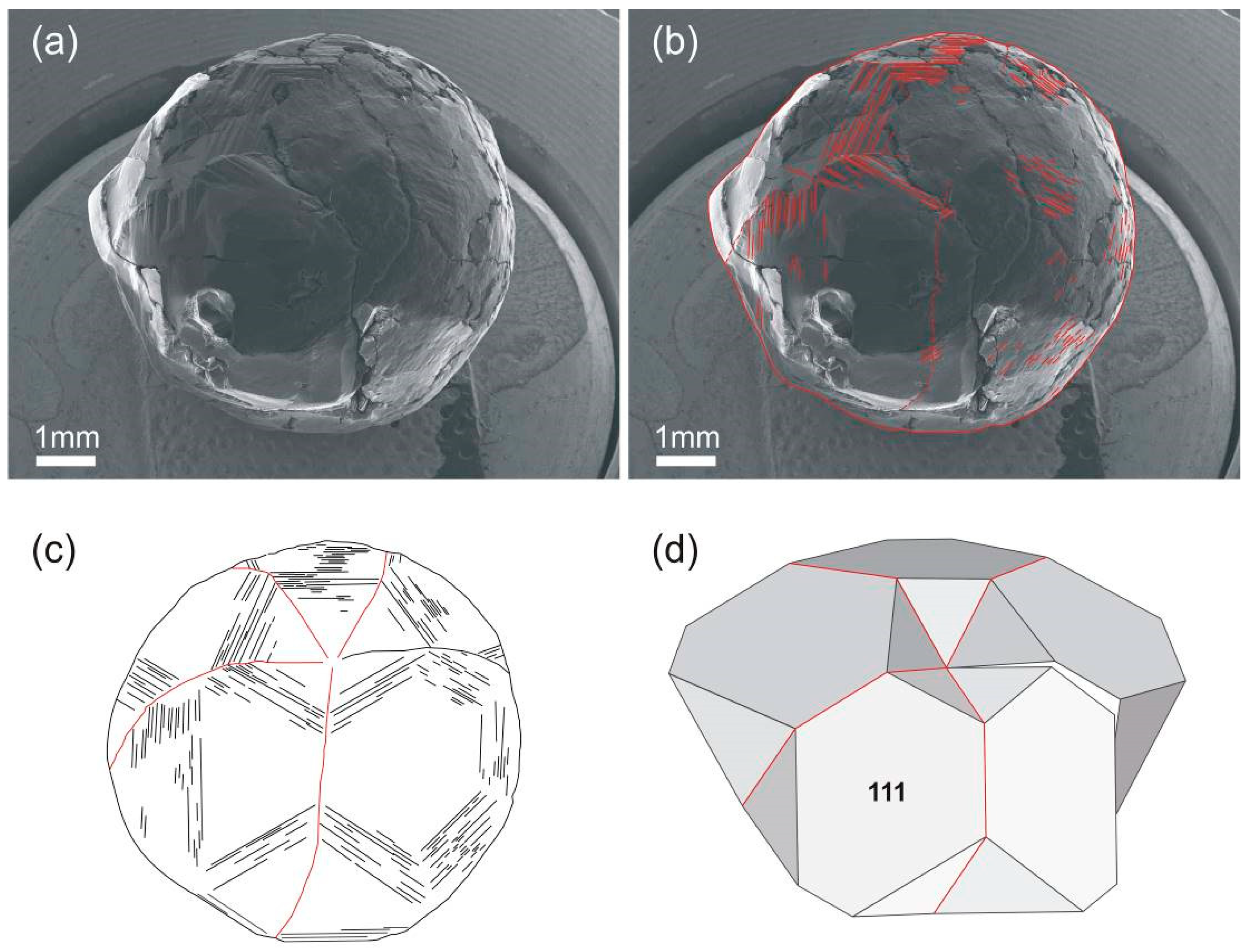 Crystals 11 00017 g005