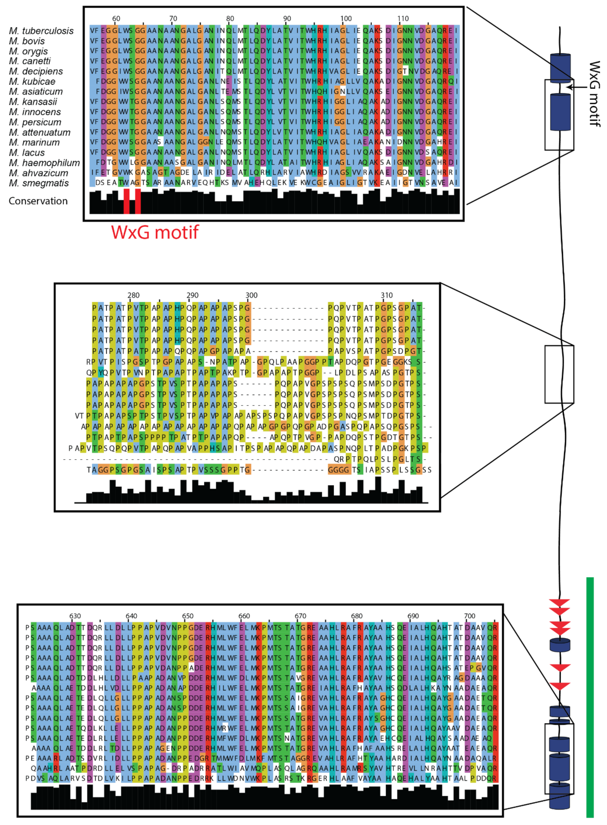 Crystals 11 00018 g002 Crystals 11 00018 g002