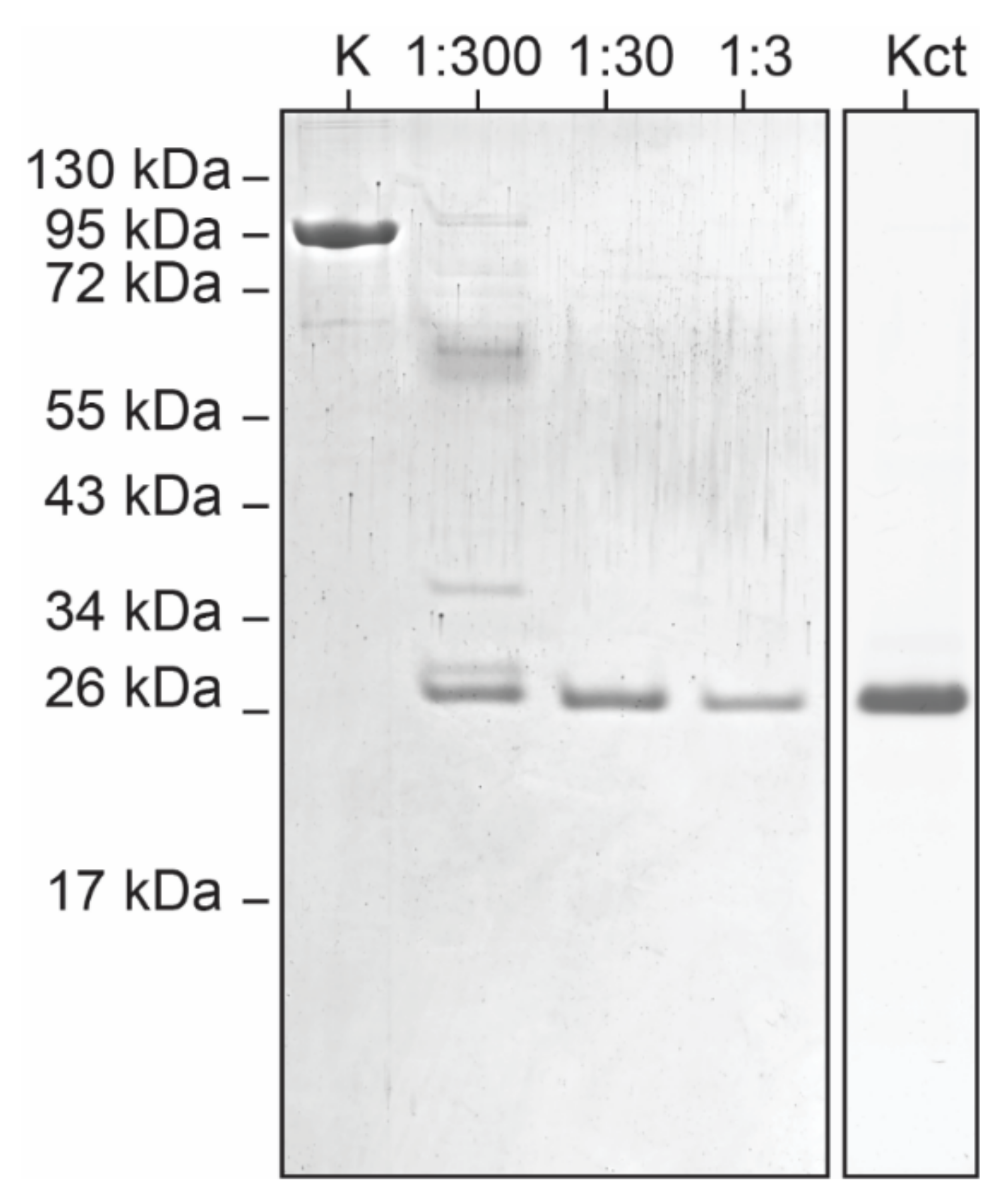 Crystals 11 00018 g003 Crystals 11 00018 g003