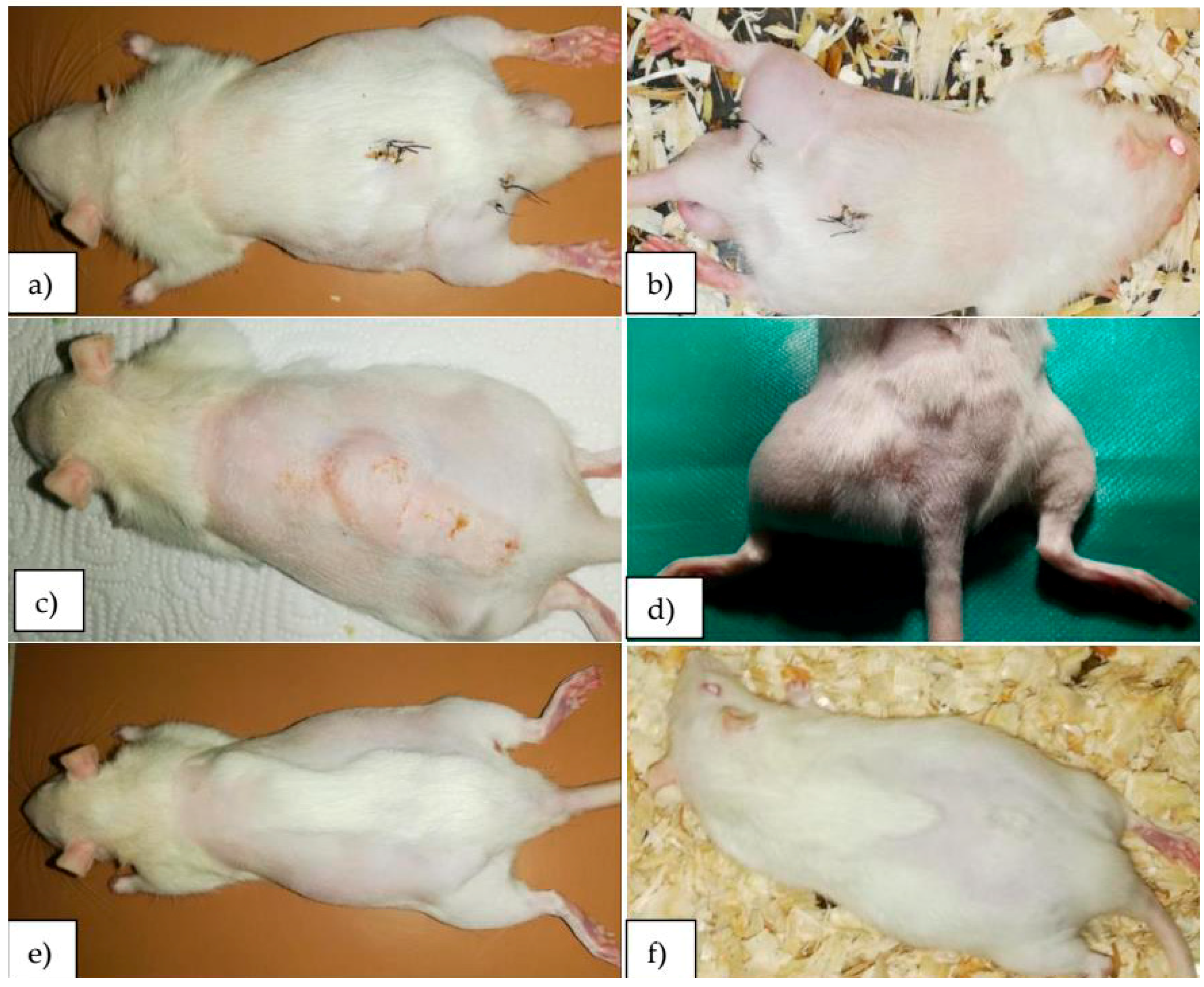 Crystals 11 00054 g002