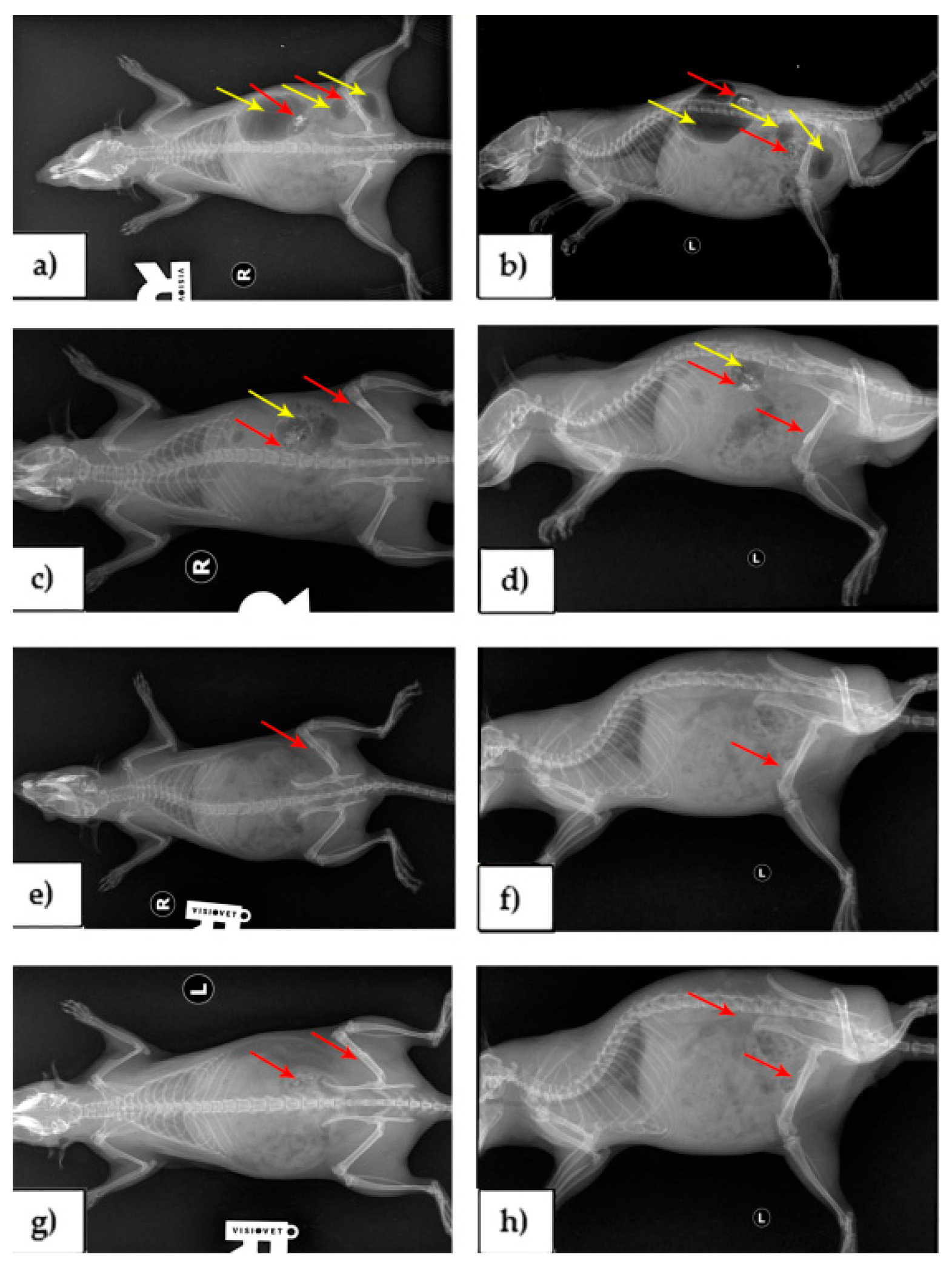Crystals 11 00054 g003
