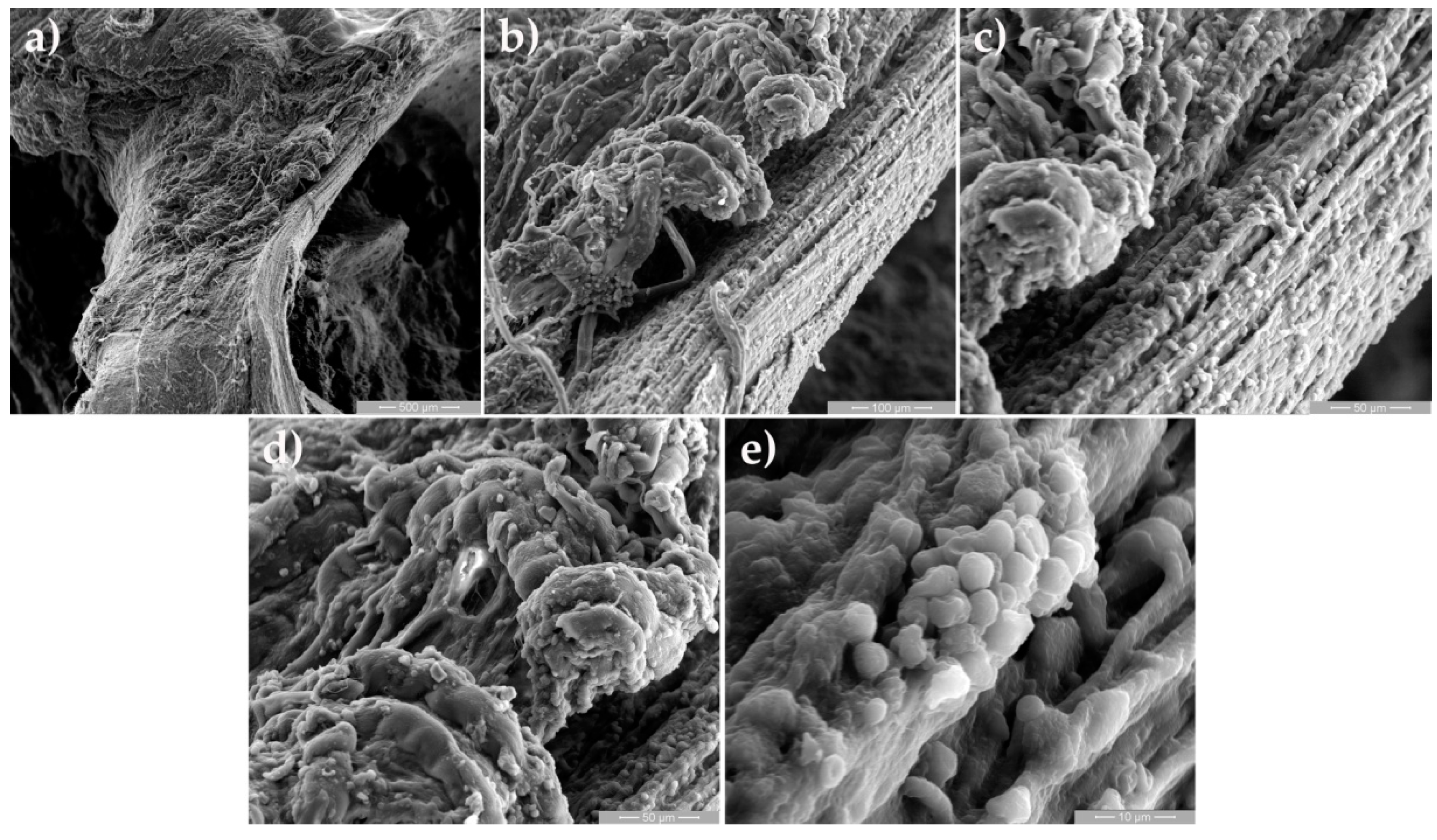 Crystals 11 00054 g006