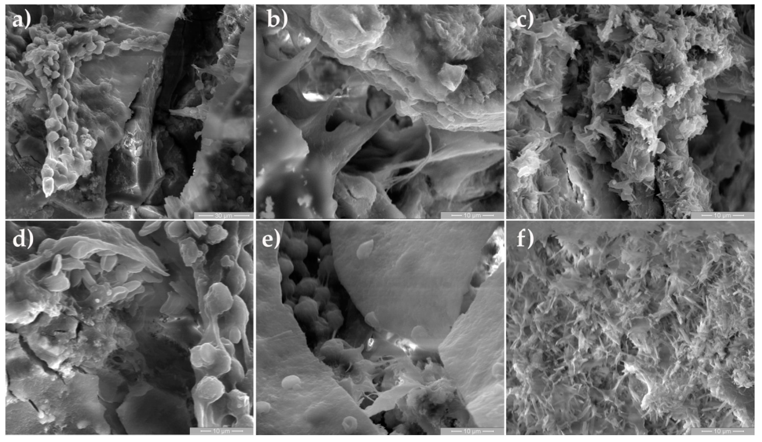 Crystals 11 00054 g007