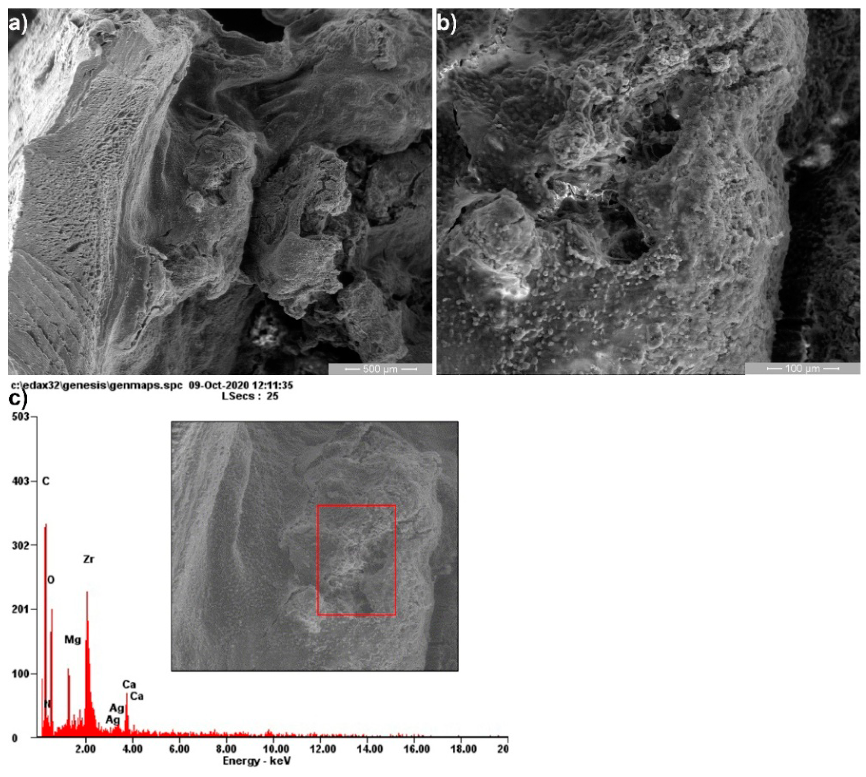 Crystals 11 00054 g009