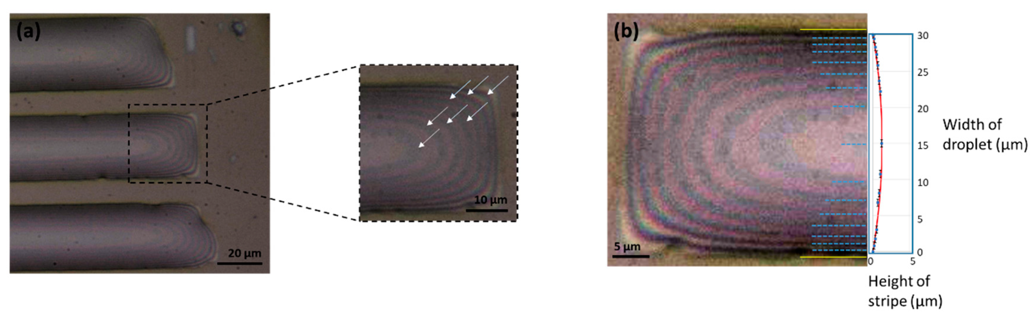 Crystals 11 00065 g006