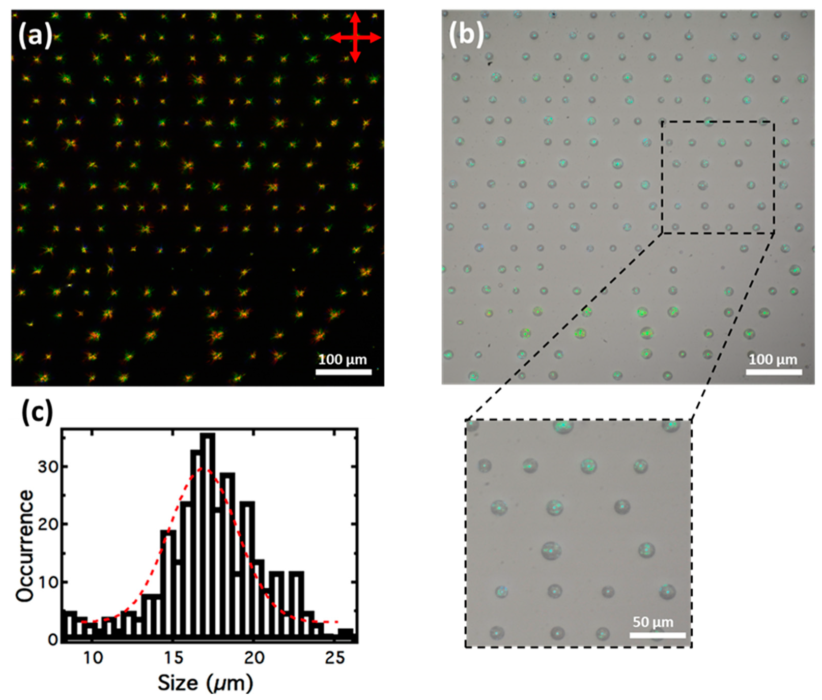 Crystals 11 00065 g013