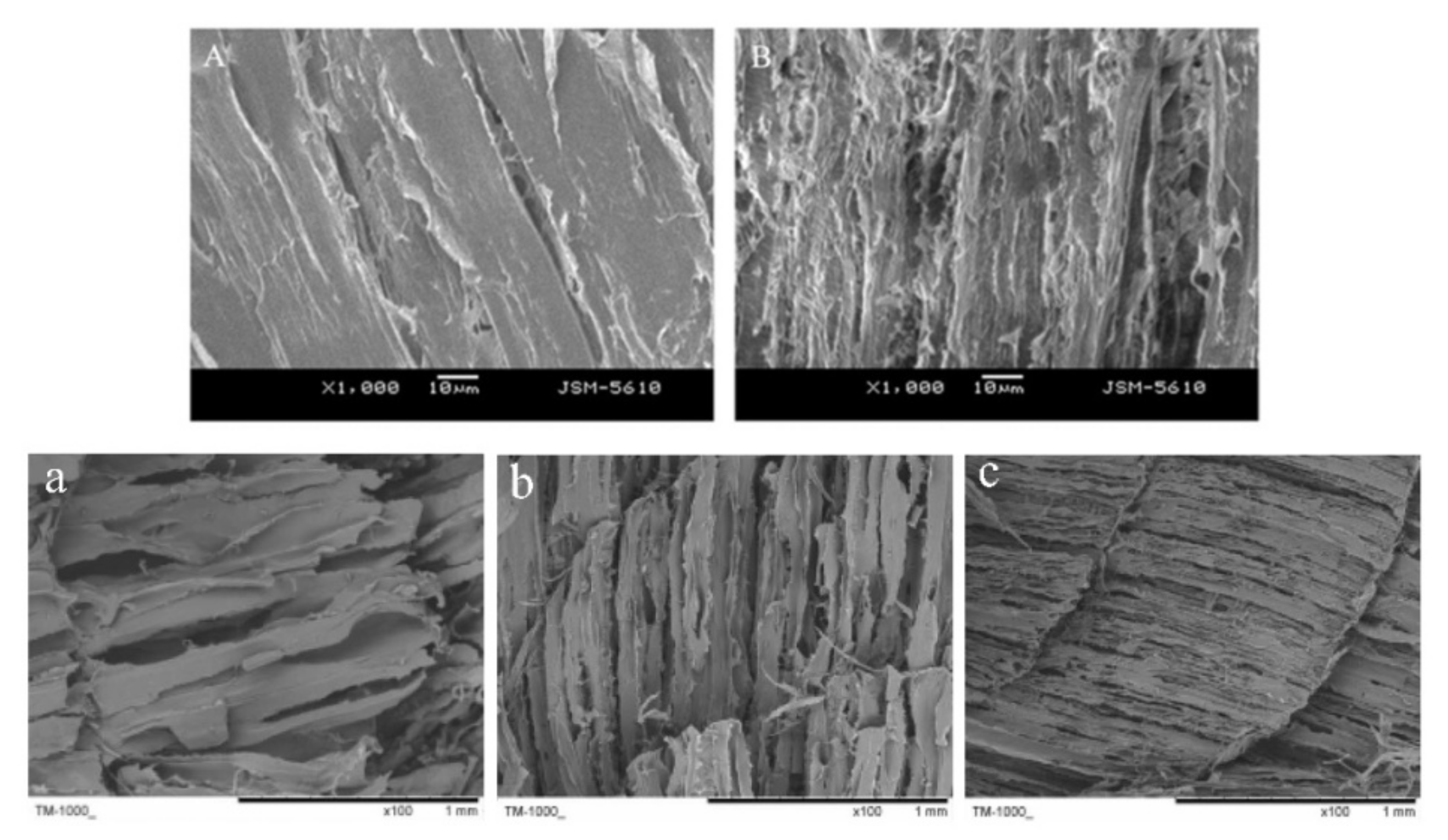 Crystals Free FullText The Formation and Control of Ice Crystal and Its Impact on the